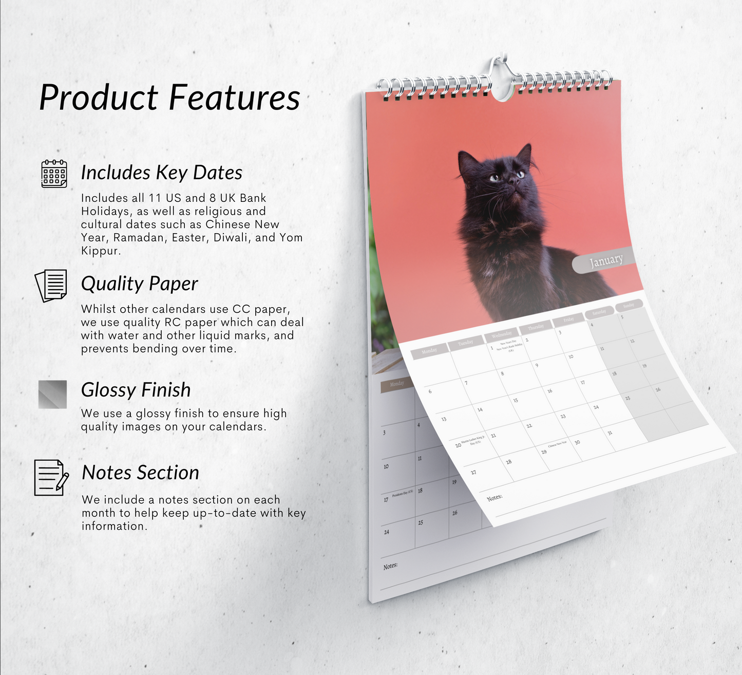 Black Cat Calendar 2025