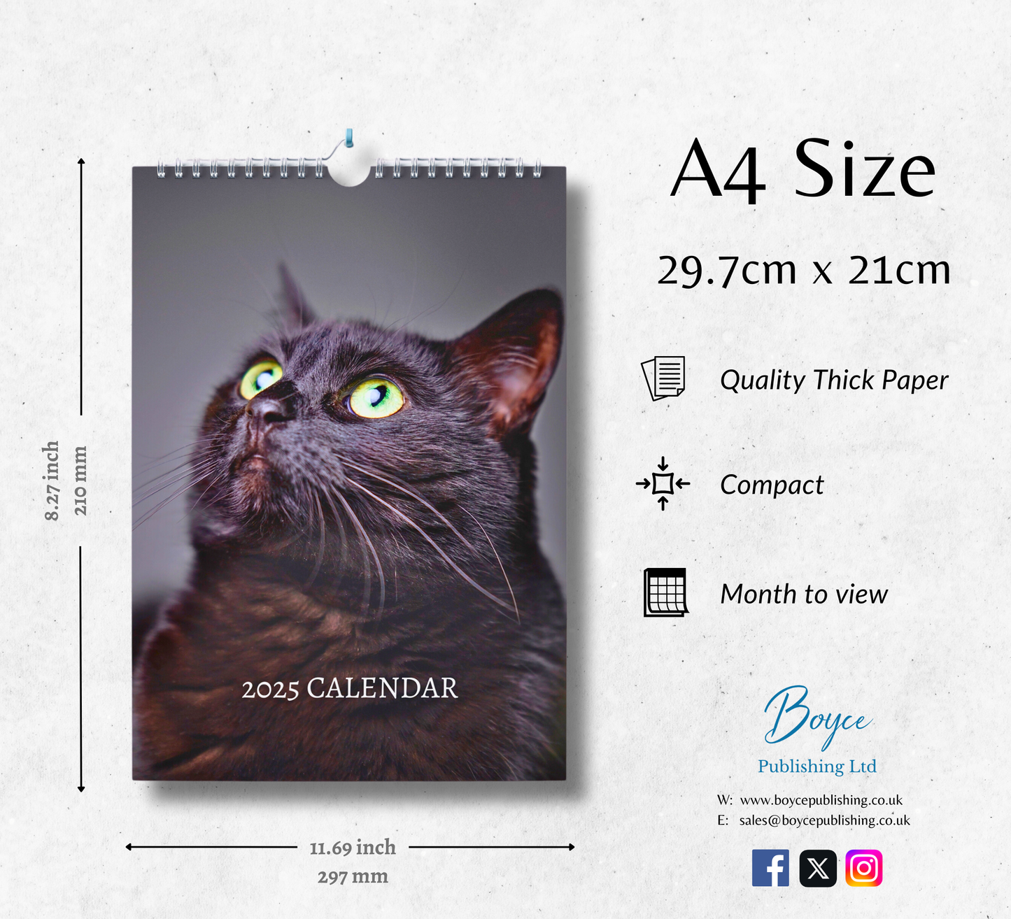Black Cat Calendar 2025