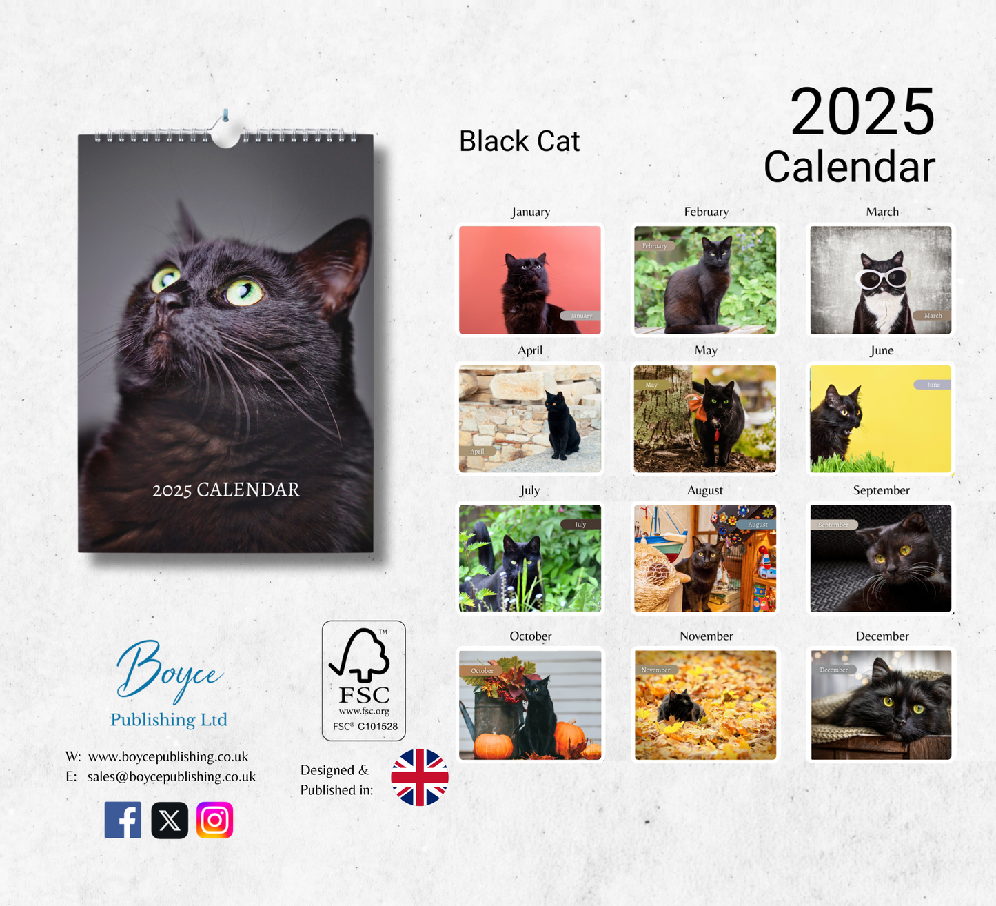 Black Cat Calendar 2025