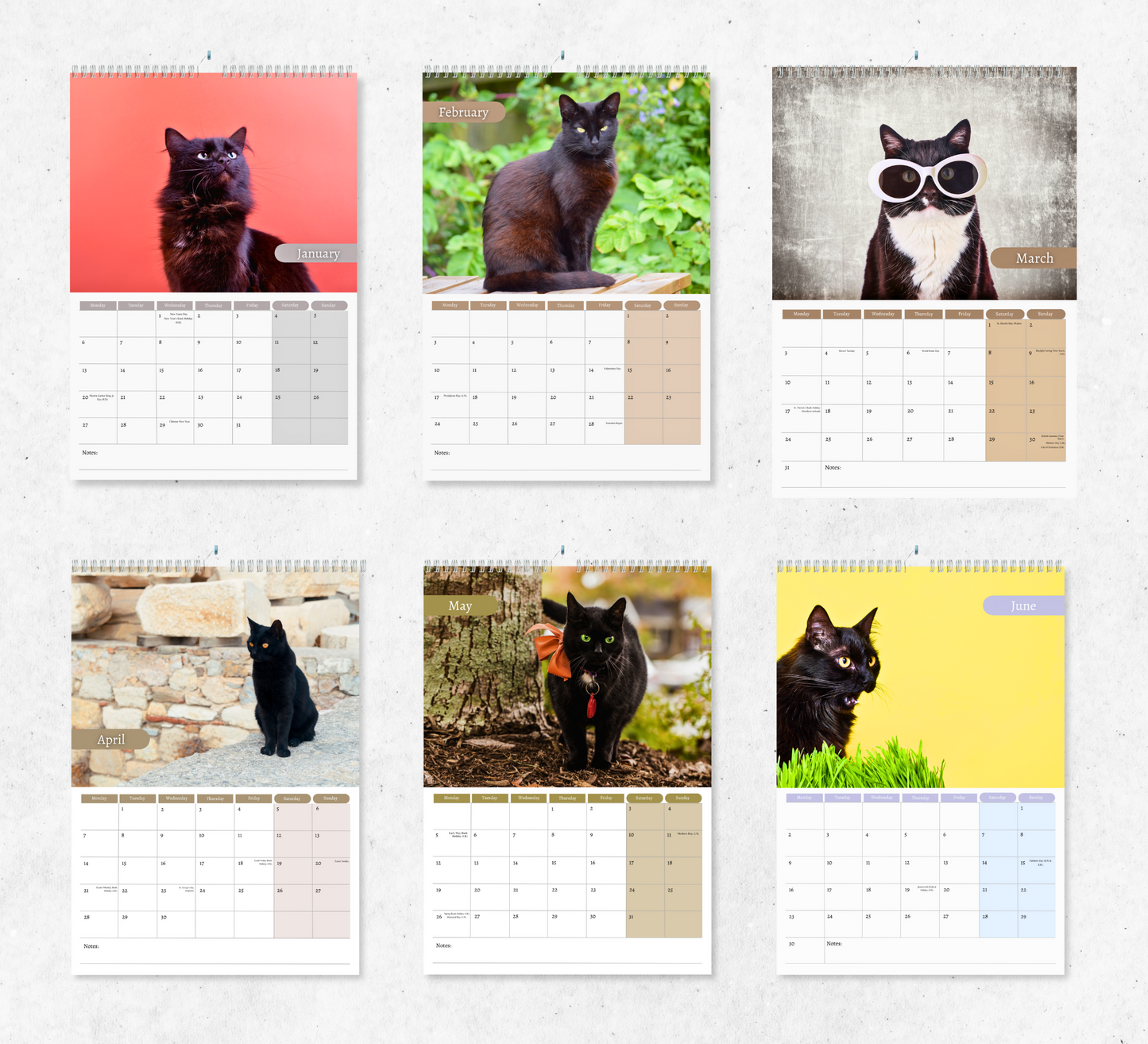 Black Cat Calendar 2025