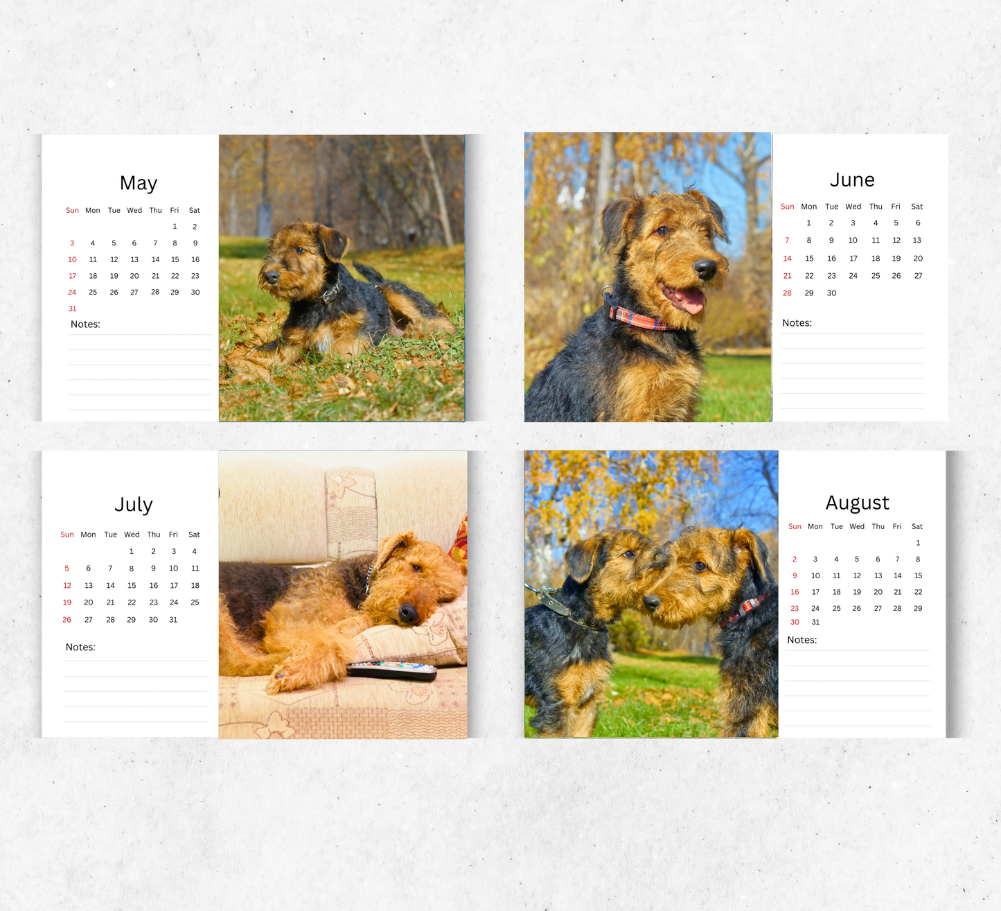 Airedale Desk Calendar 2026-2027
