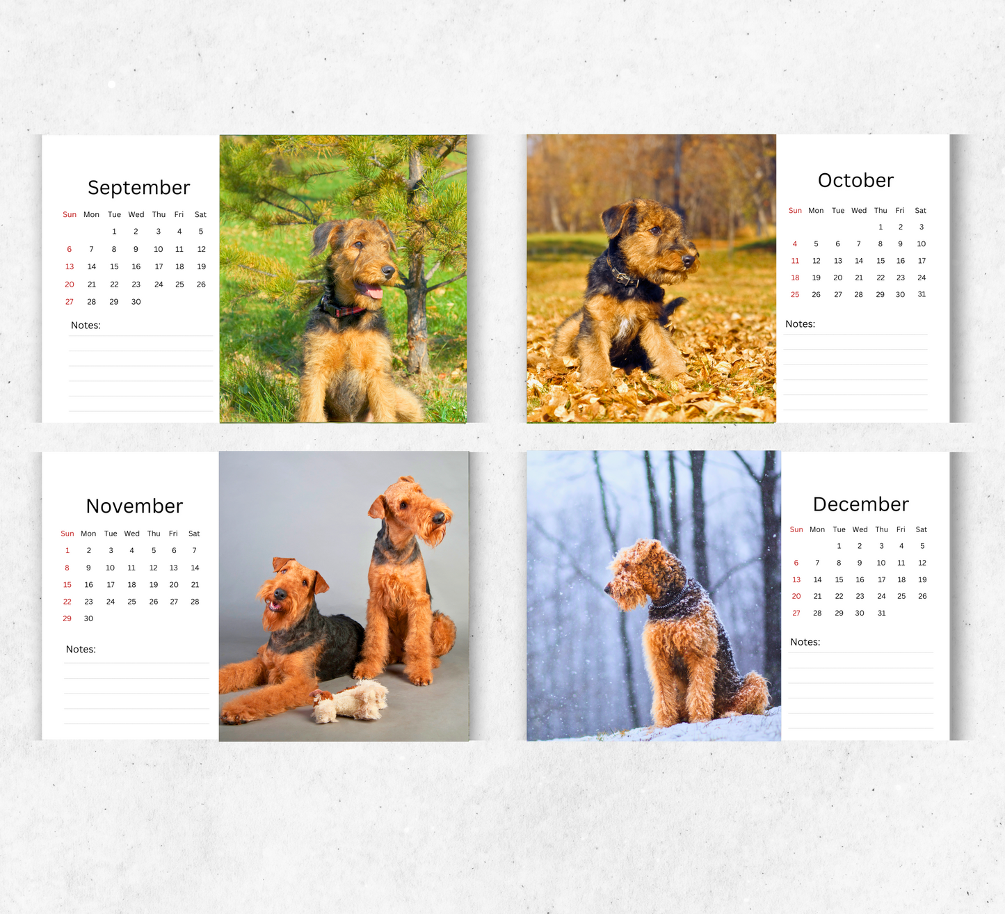 Airedale Desk Calendar 2026-2027