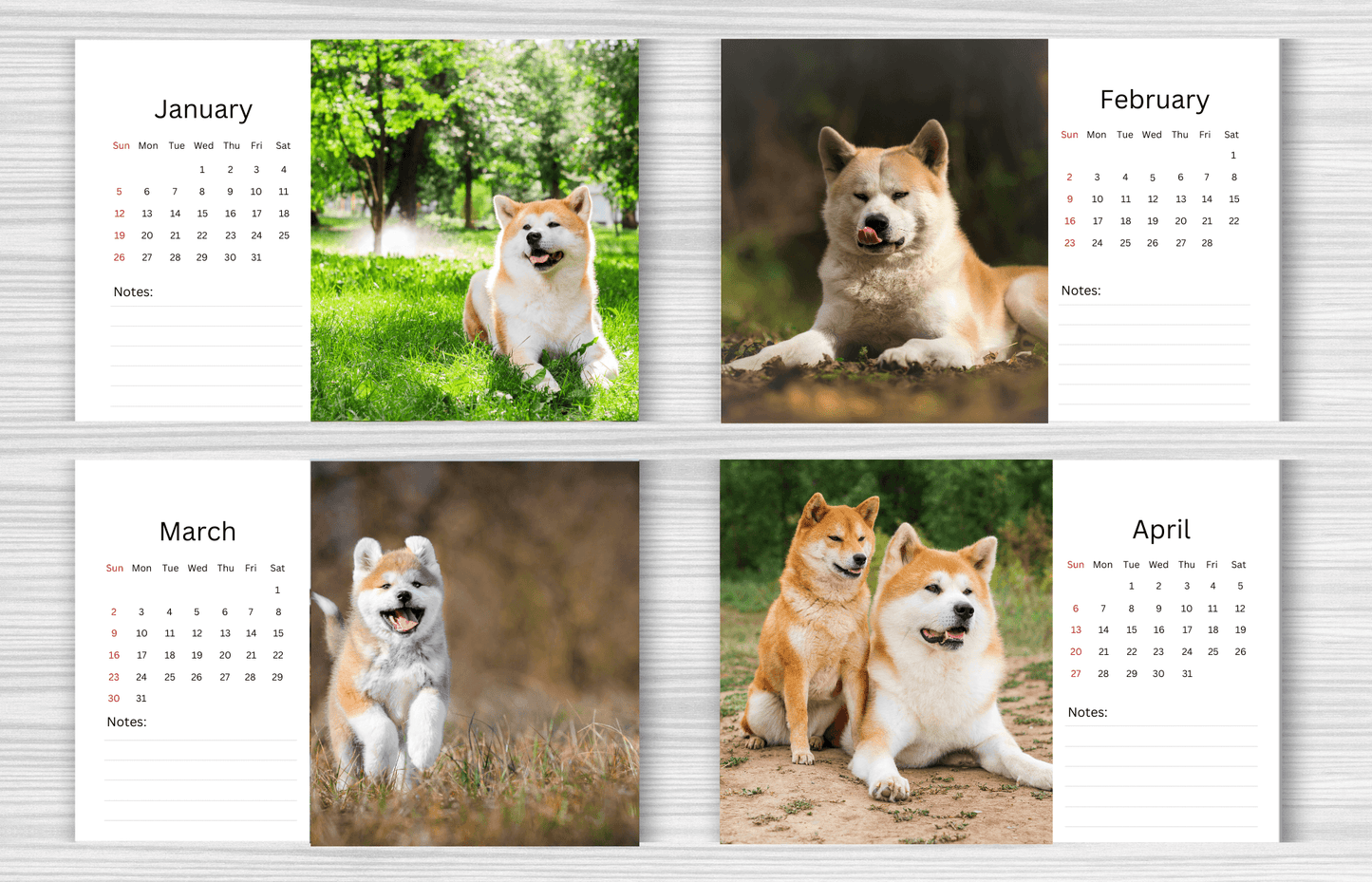 Akita Desk Calendar 2025