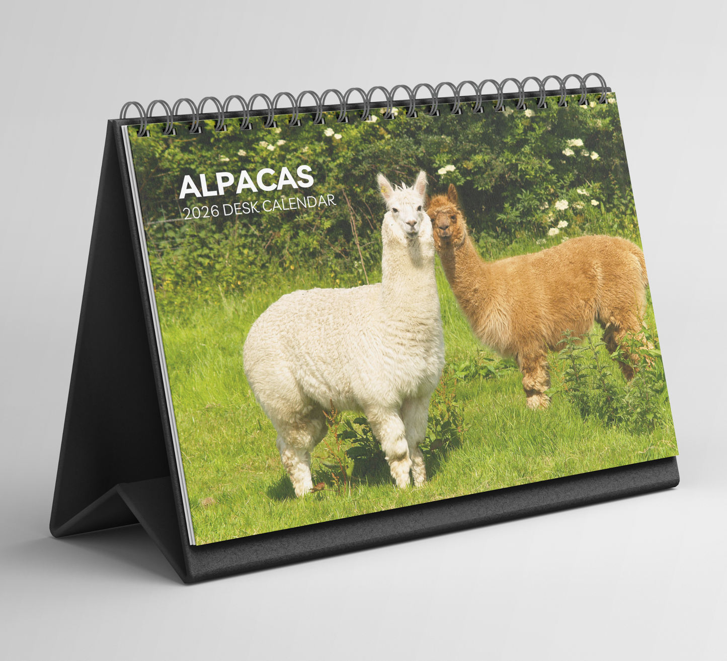Alpacas Desk Calendar 2026-2027