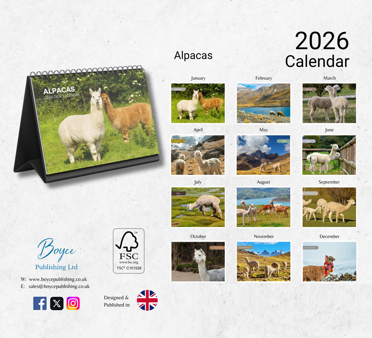 Alpacas Desk Calendar 2026-2027