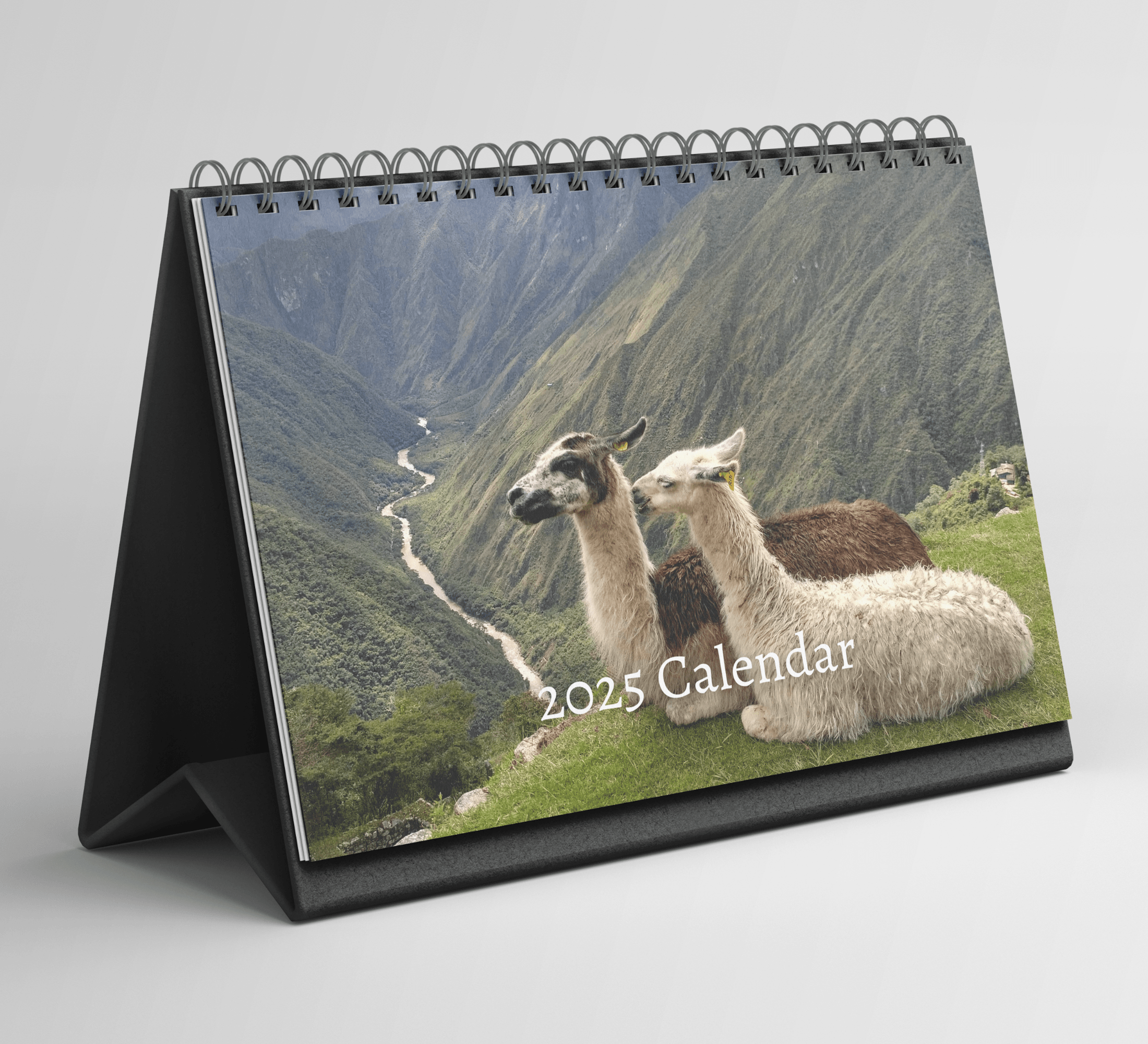 Alpacas Desk Calendar 20252026 Standing Flip Desktop Calendar with