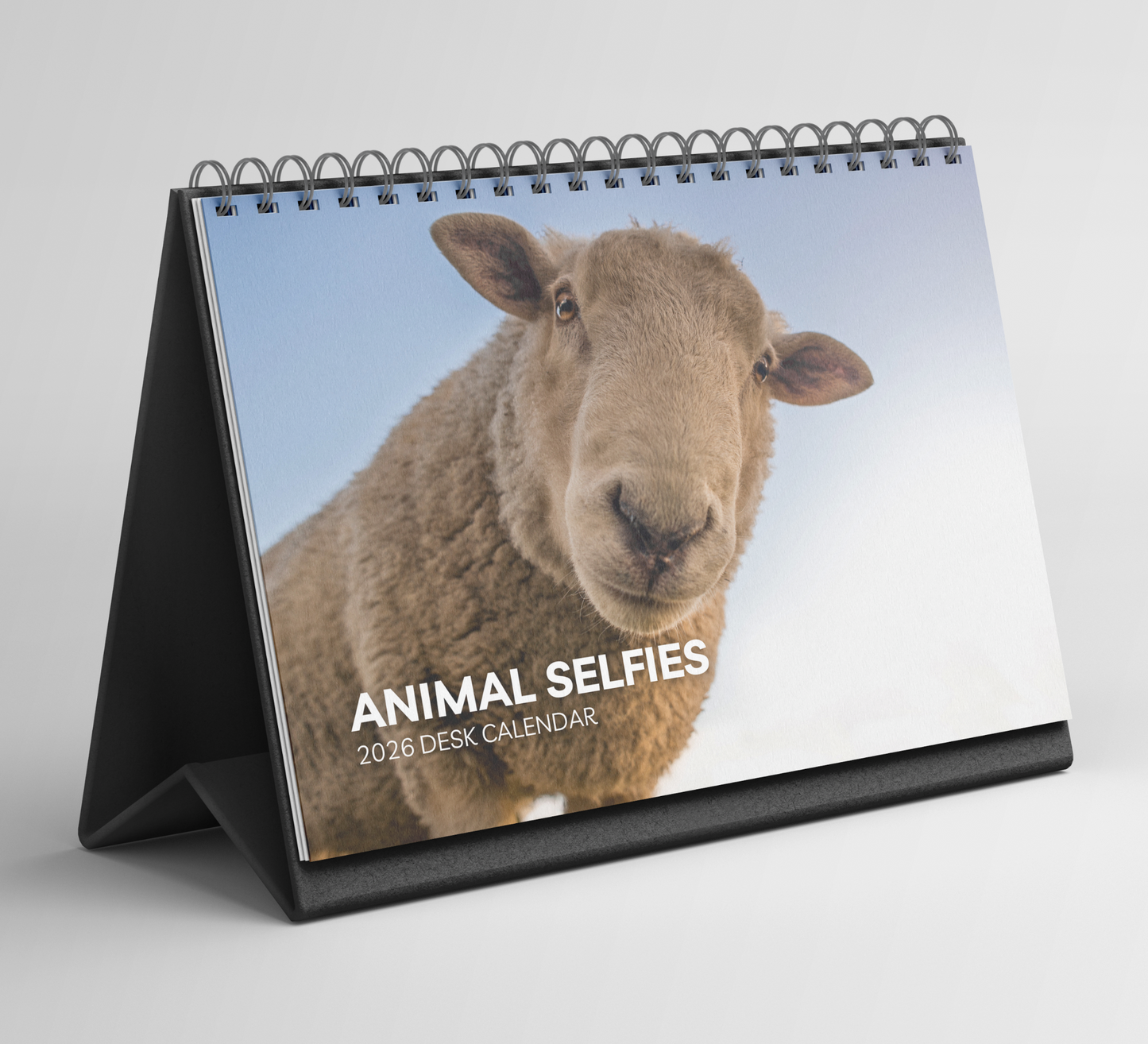 Animal Selfies Desk Calendar 2026-2027