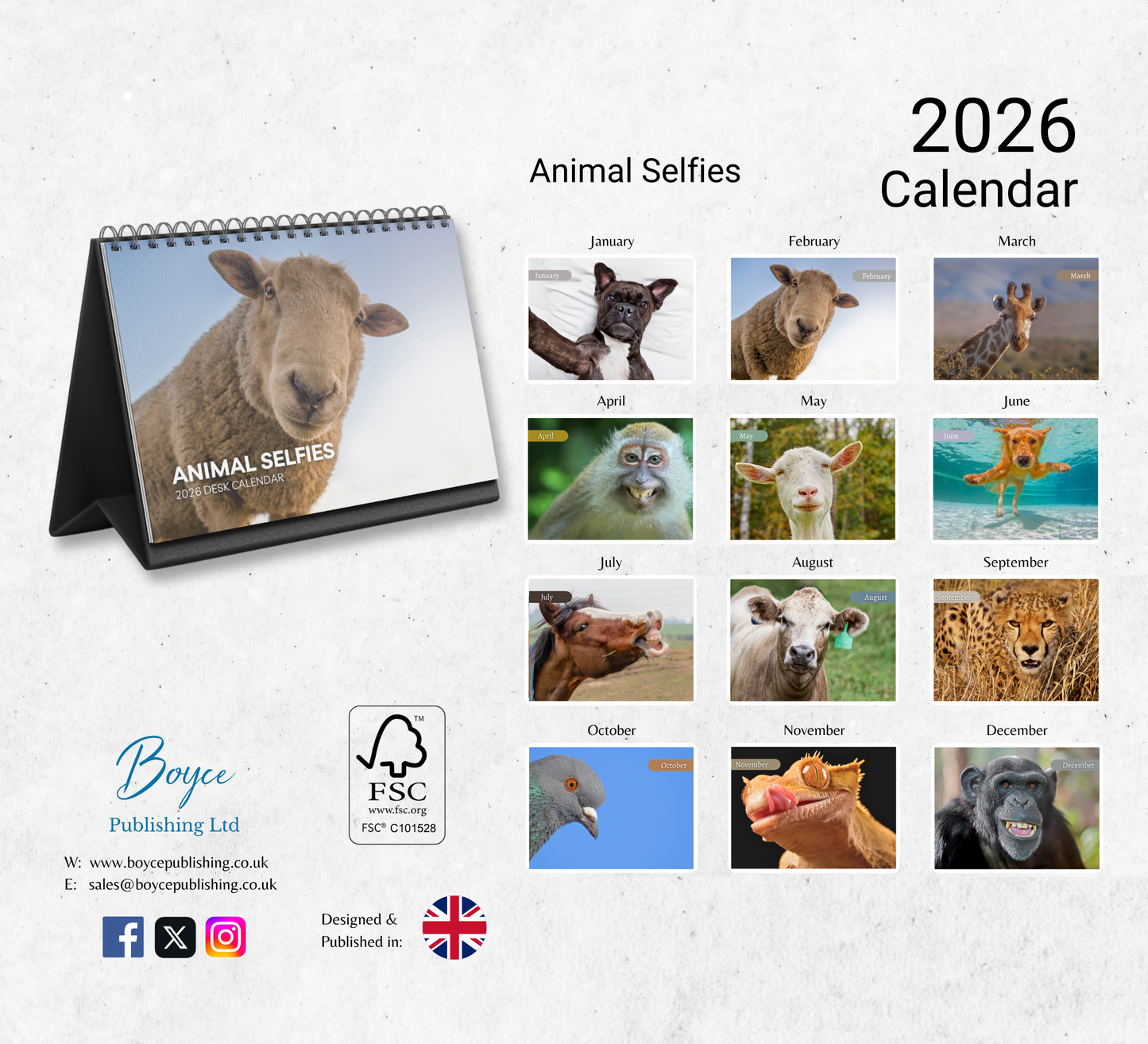 Animal Selfies Desk Calendar 2026-2027