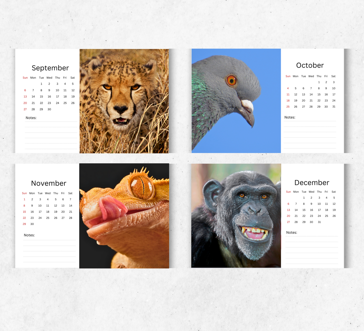 Animal Selfies Desk Calendar 2026-2027