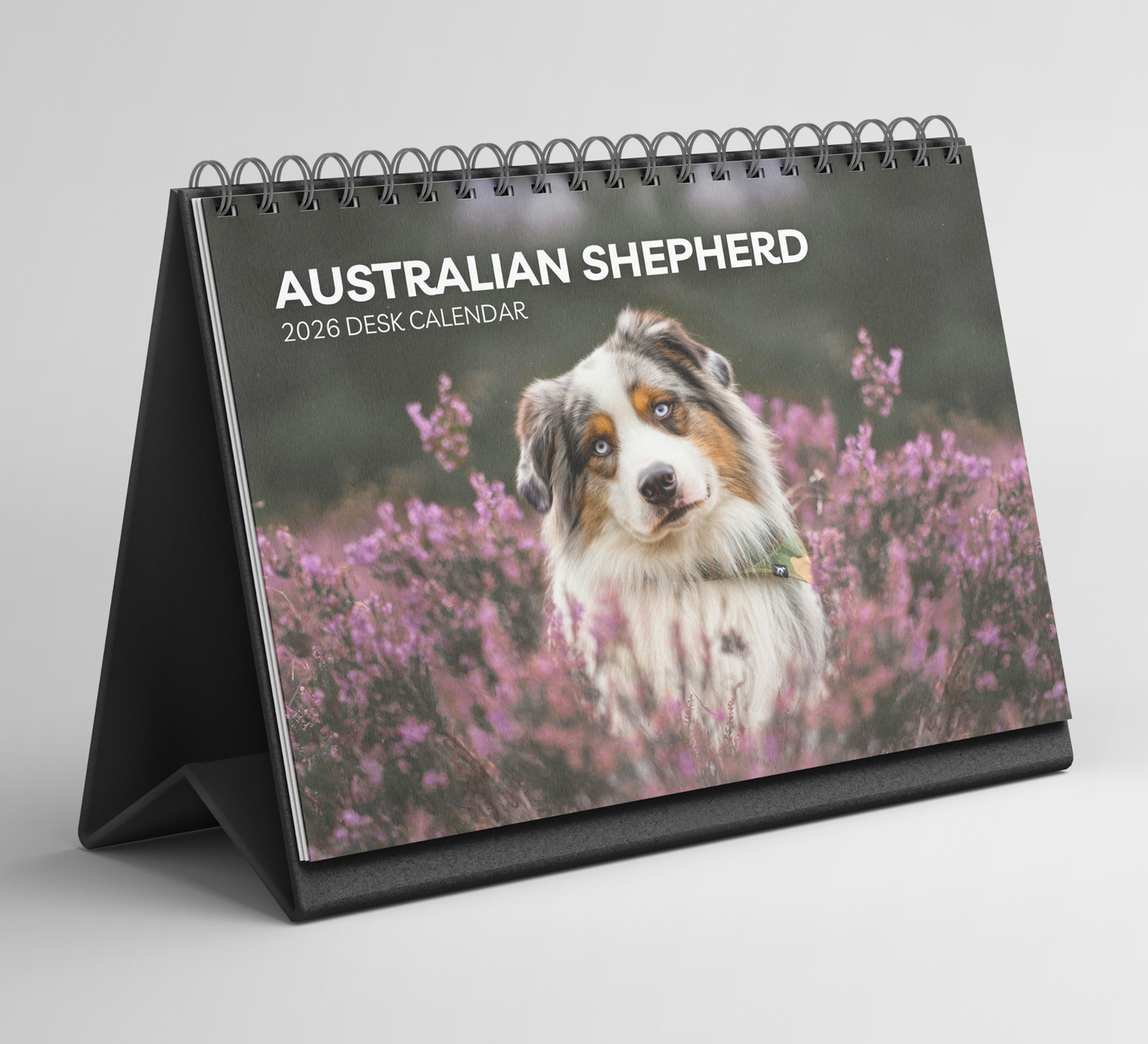 Australian Shepherd Desk Calendar 2026-2027