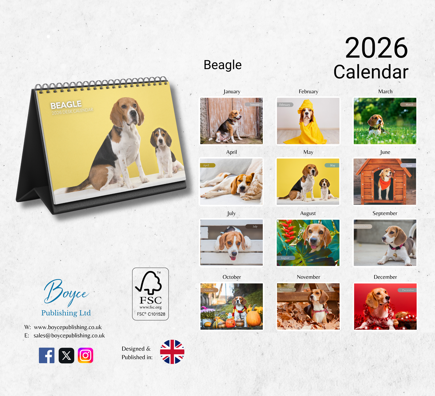 Beagle Desk Calendar 2026-2027