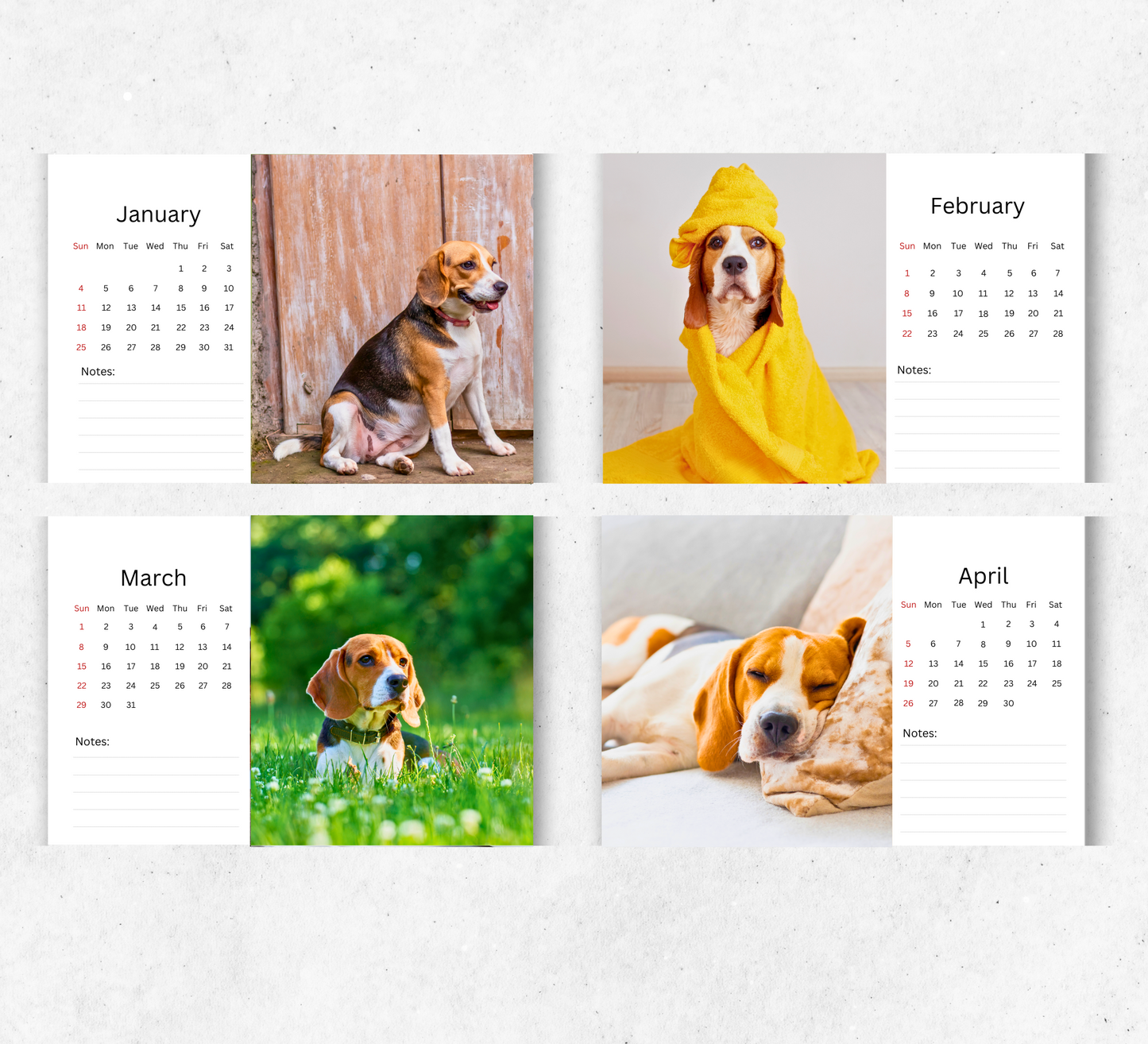 Beagle Desk Calendar 2026-2027