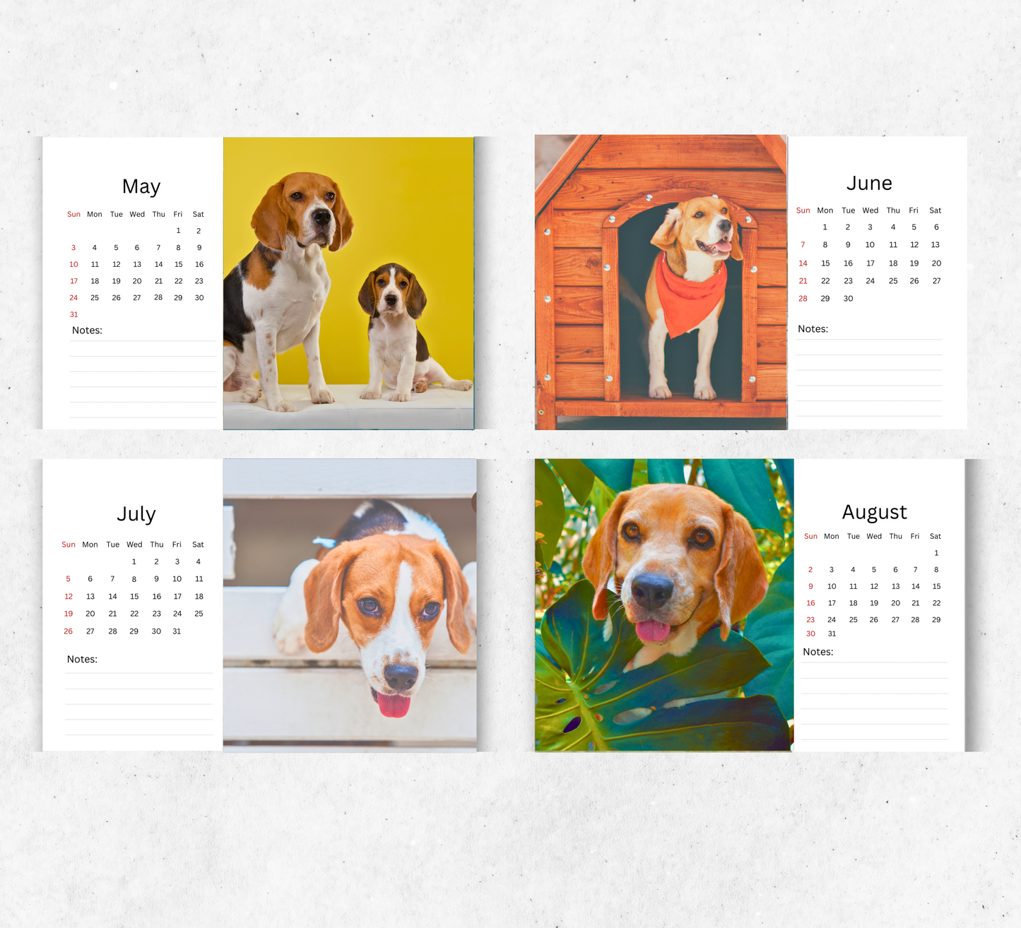 Beagle Desk Calendar 2026-2027