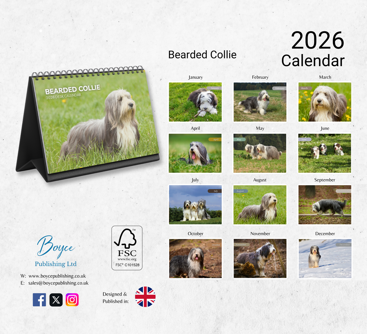 Bearded Collie Desk Calendar 2026-2027