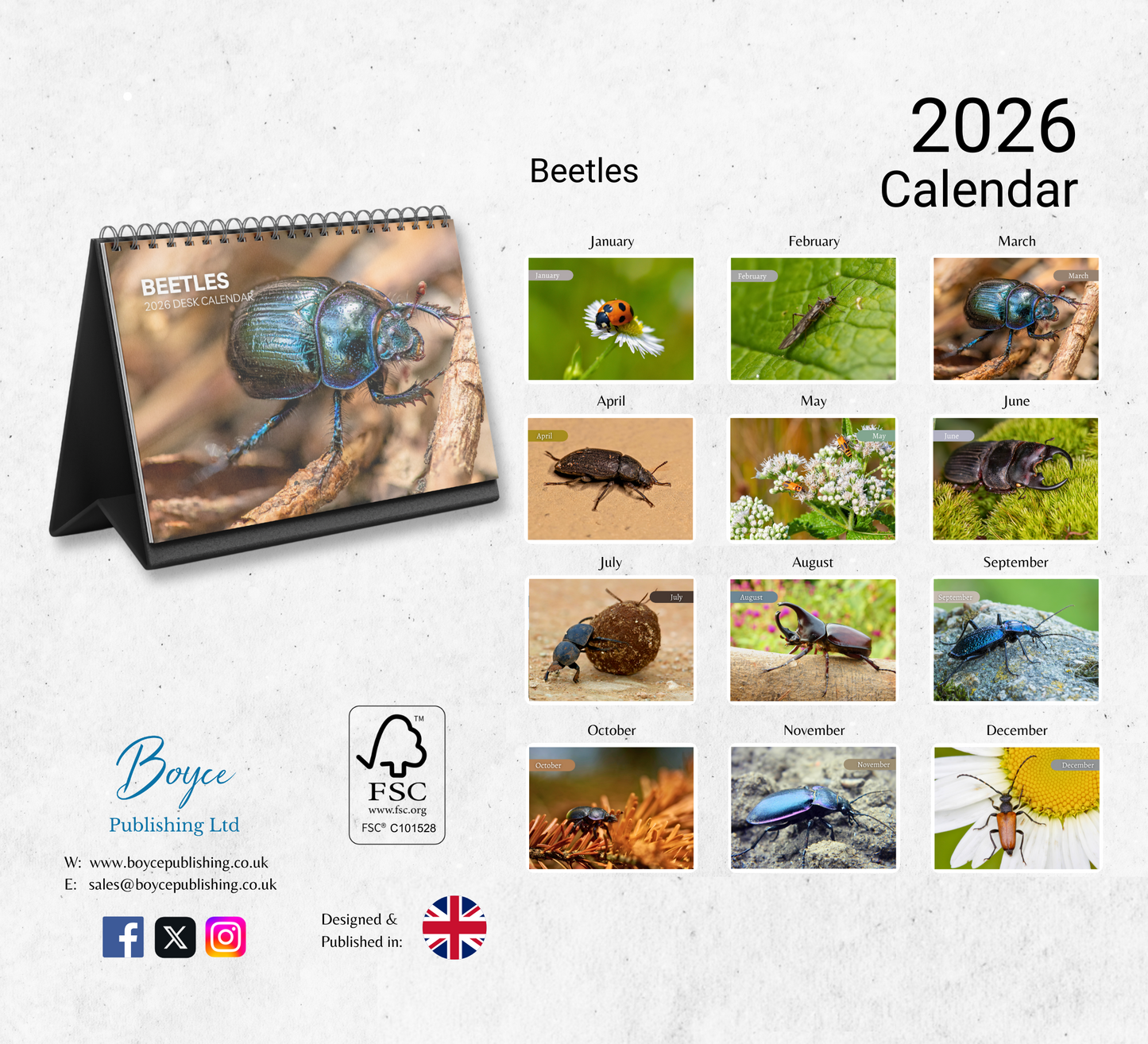 Beetles Desk Calendar 2026-2027