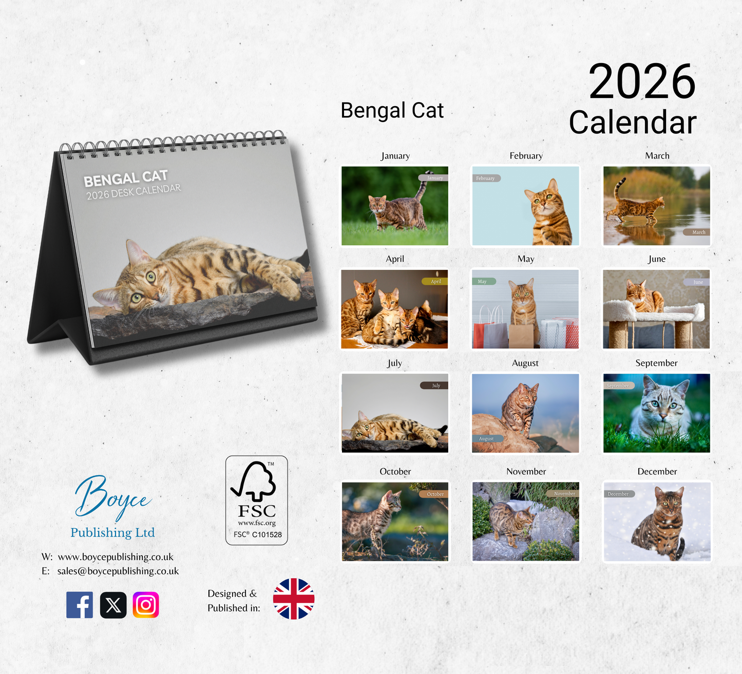 Bengal Cat Desk Calendar 2026-2027