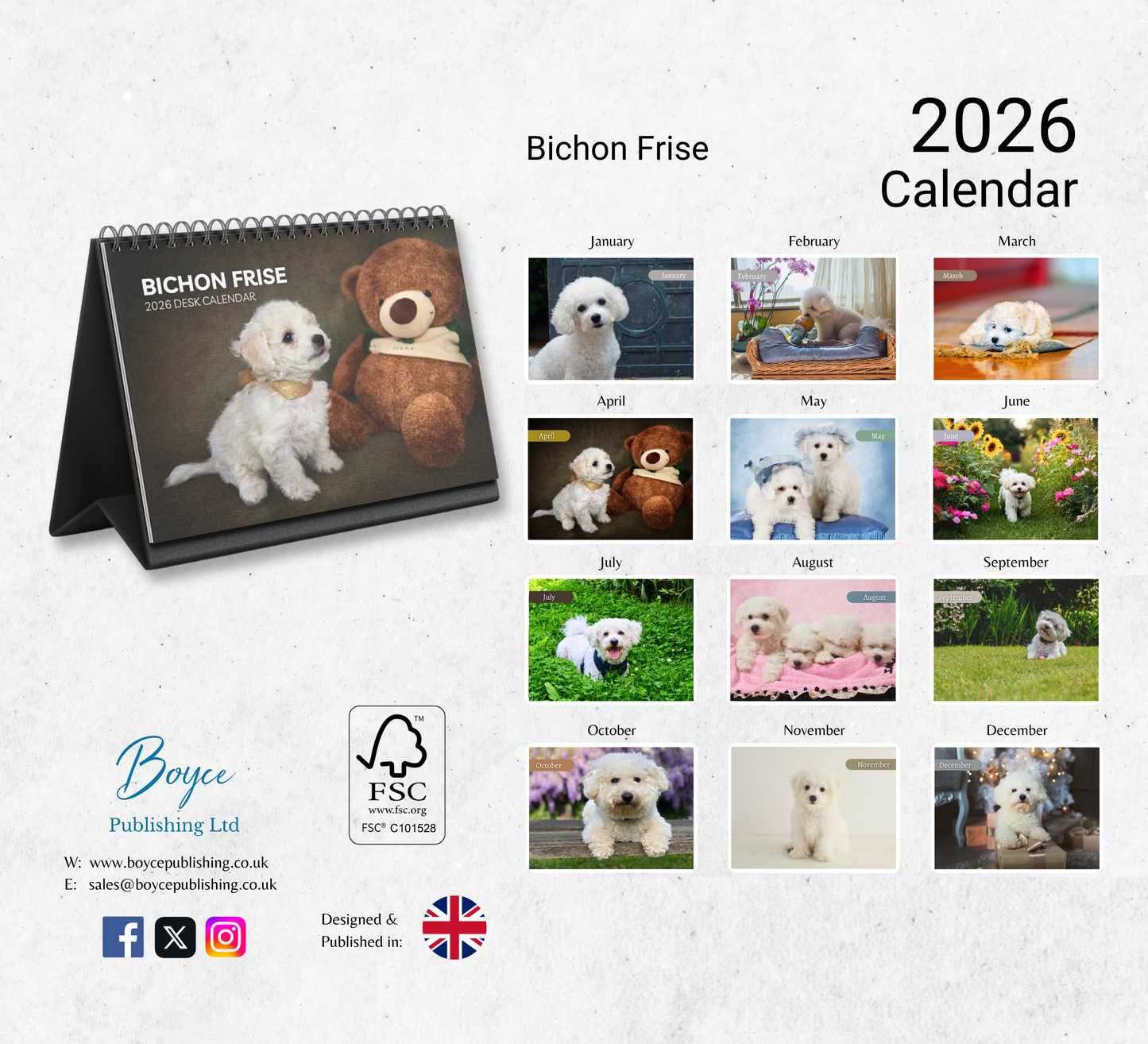 Bichon Frise Desk Calendar 2026-2027