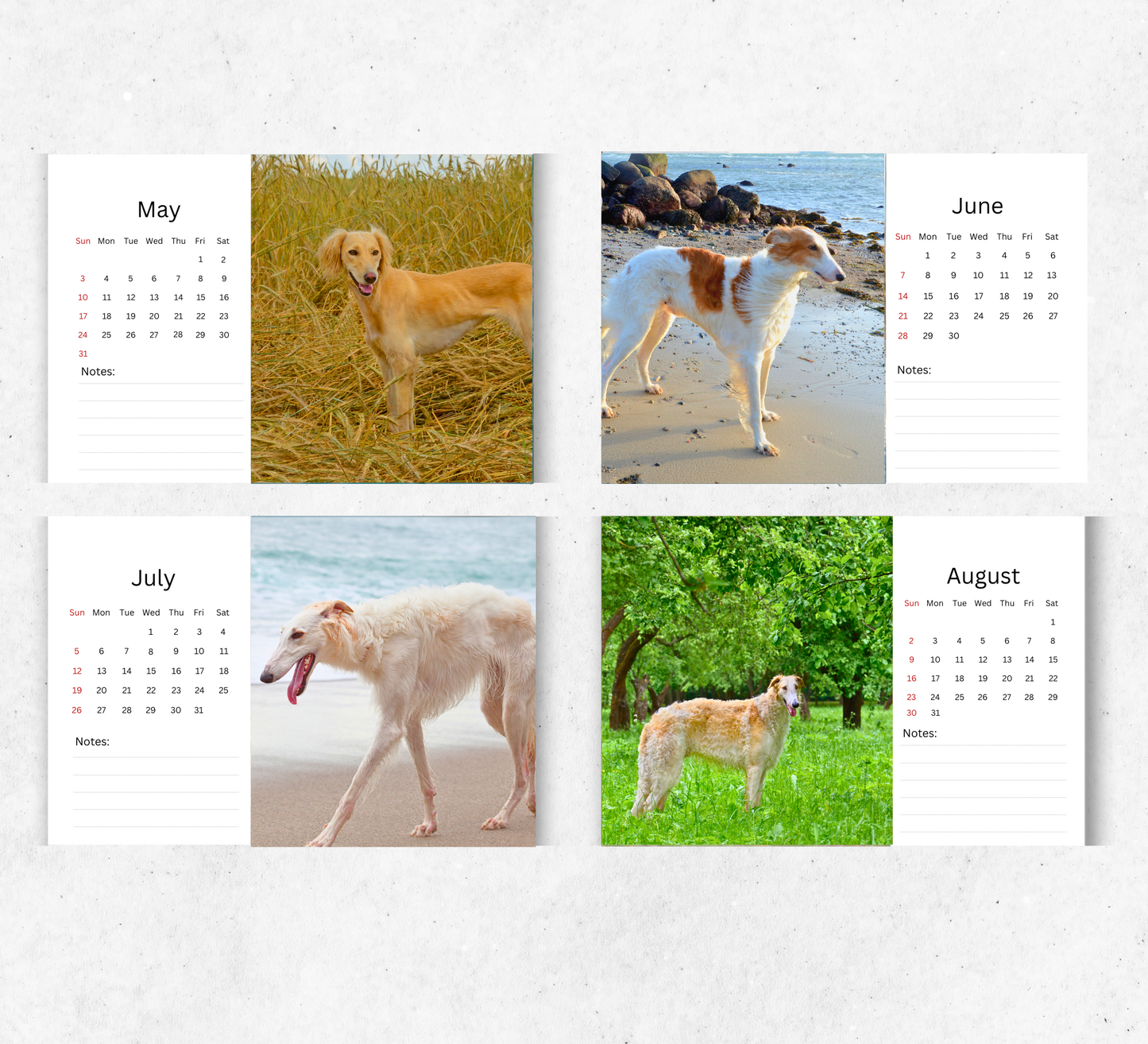 Borzoi Desk Calendar 2026-2027