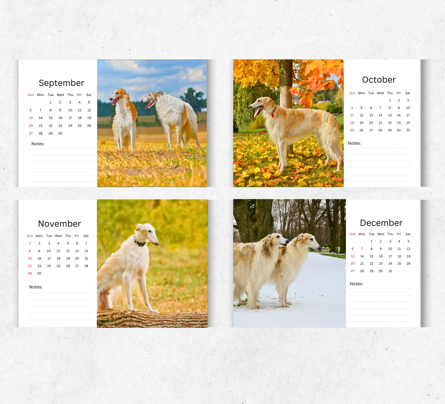 Borzoi Desk Calendar 2026-2027