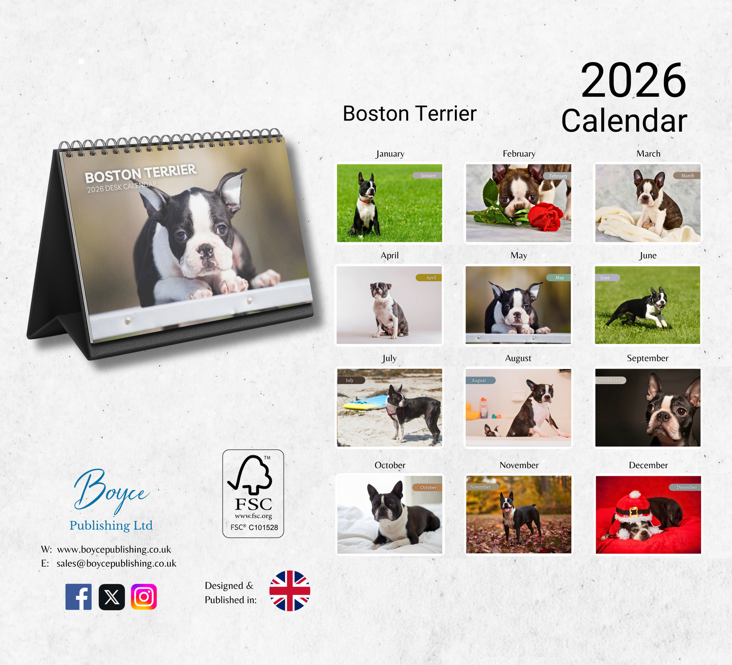 Boston Terrier Desk Calendar 2026-2027