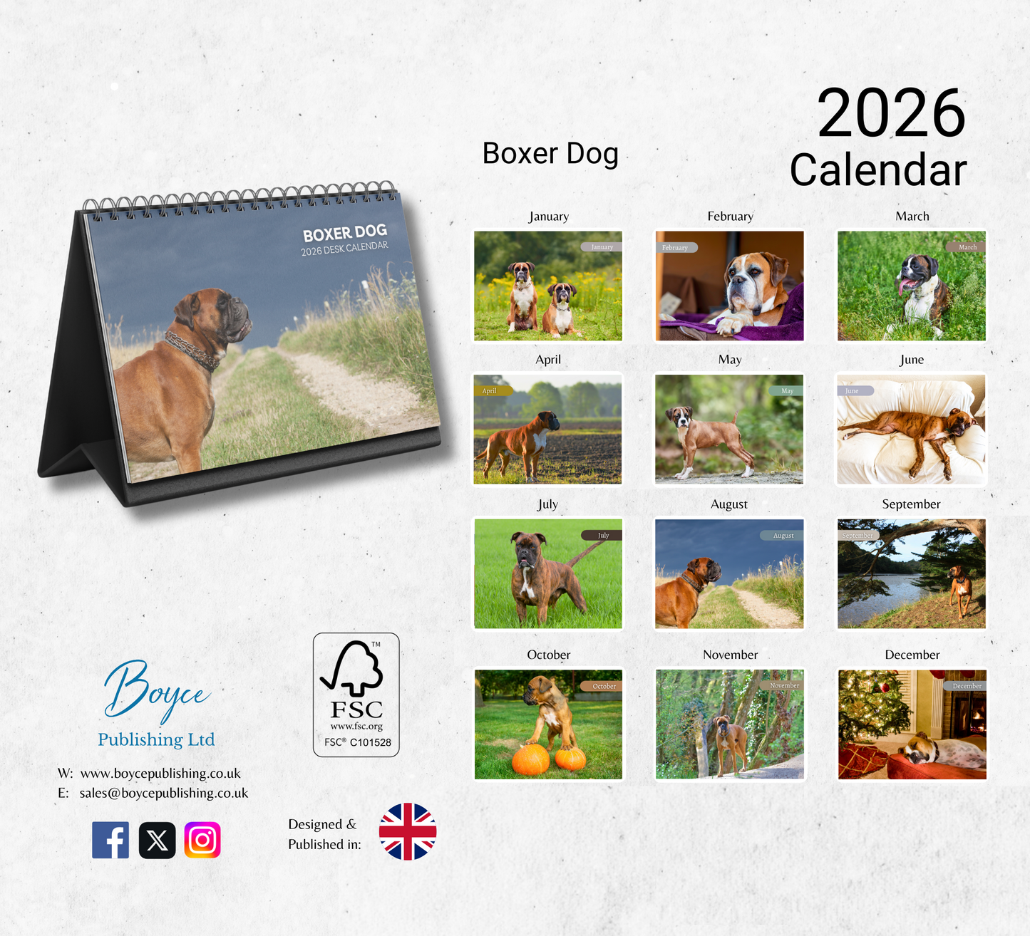 Boxer Dog Desk Calendar 2026-2027