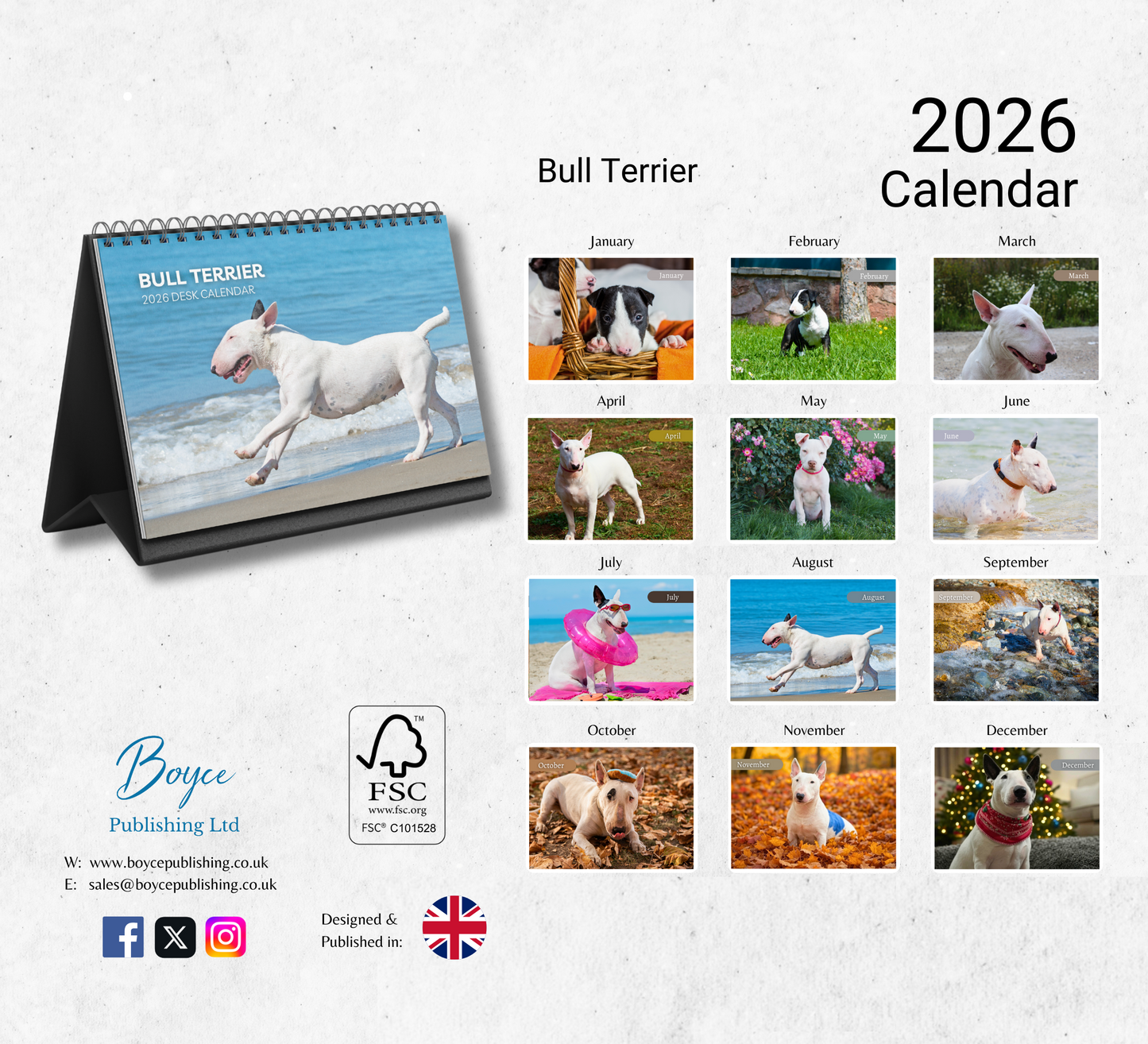 Bull Terrier Desk Calendar 2026-2027