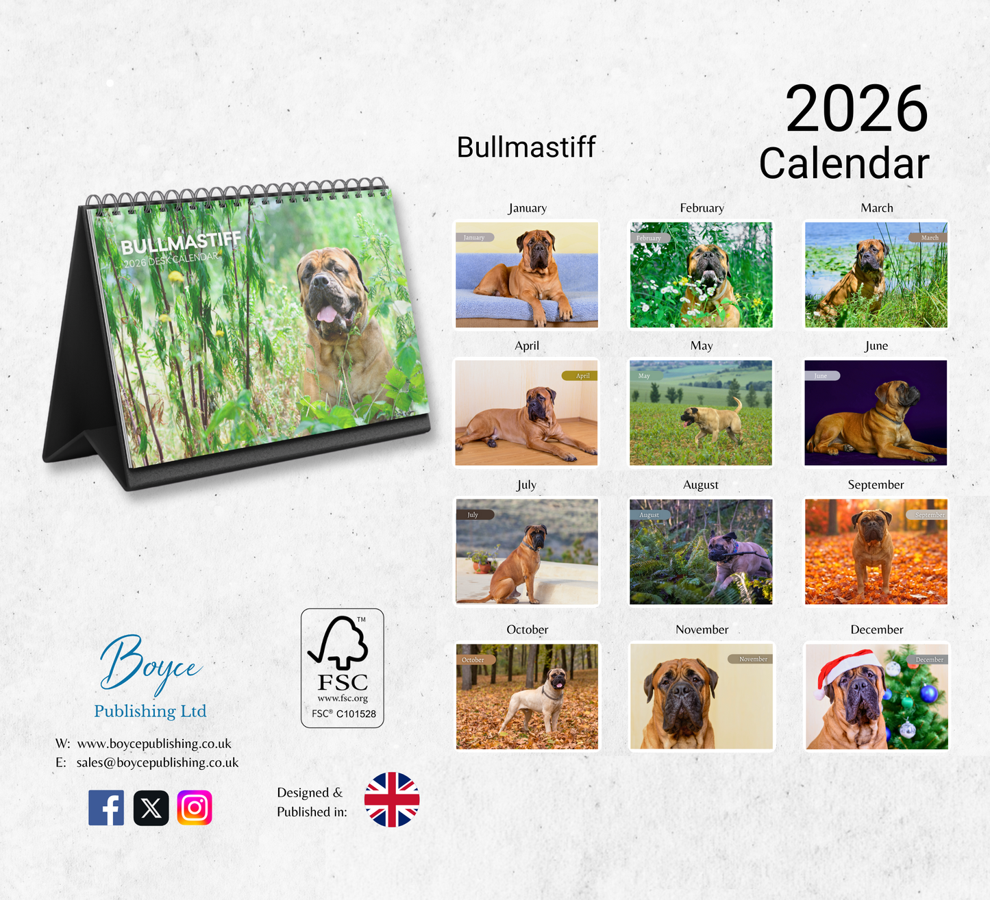 Bullmastiff Desk Calendar 2026-2027