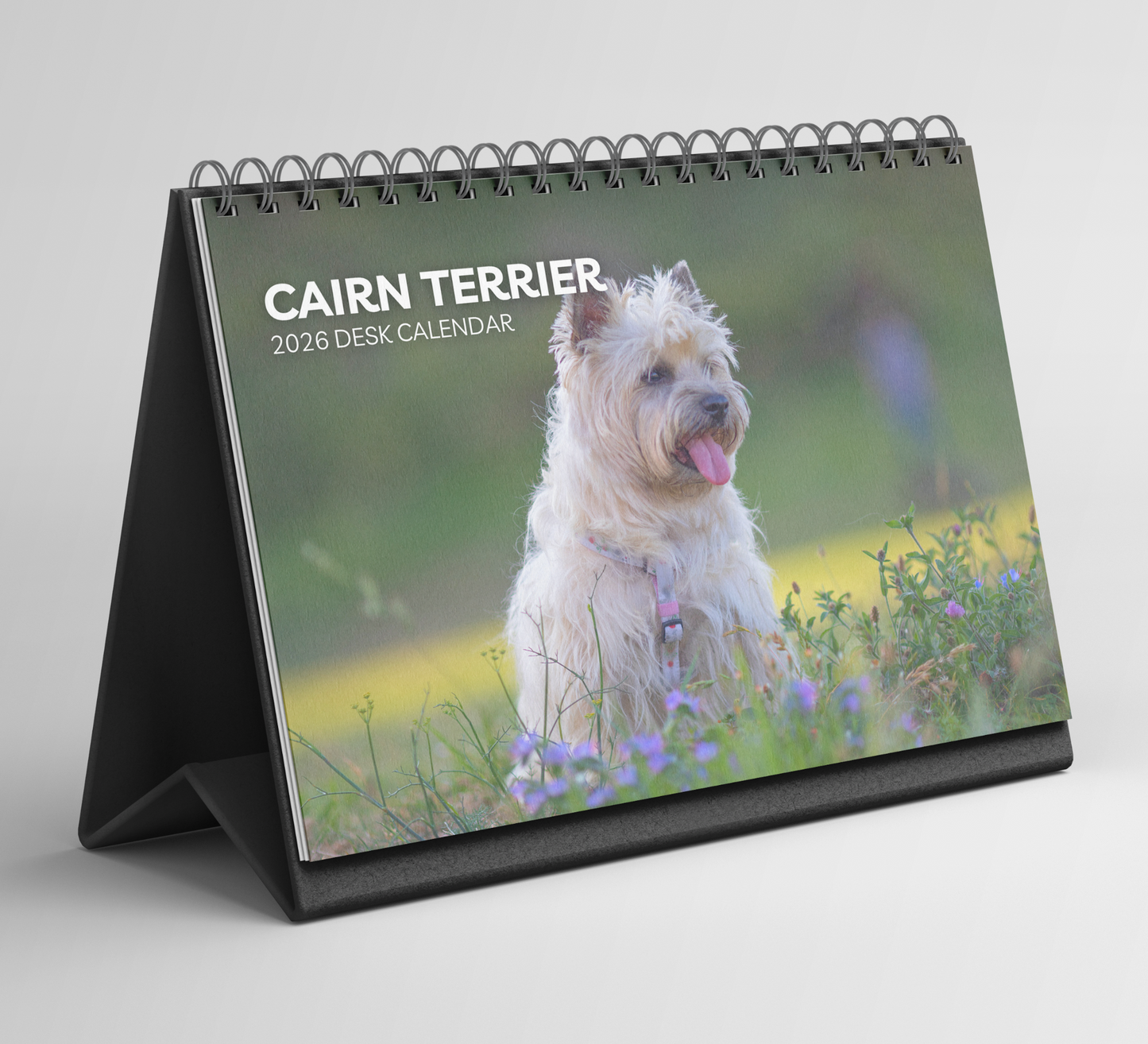Cairn Terrier Desk Calendar 2026-2027