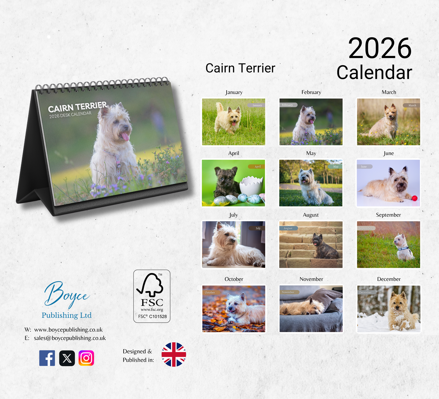 Cairn Terrier Desk Calendar 2026-2027