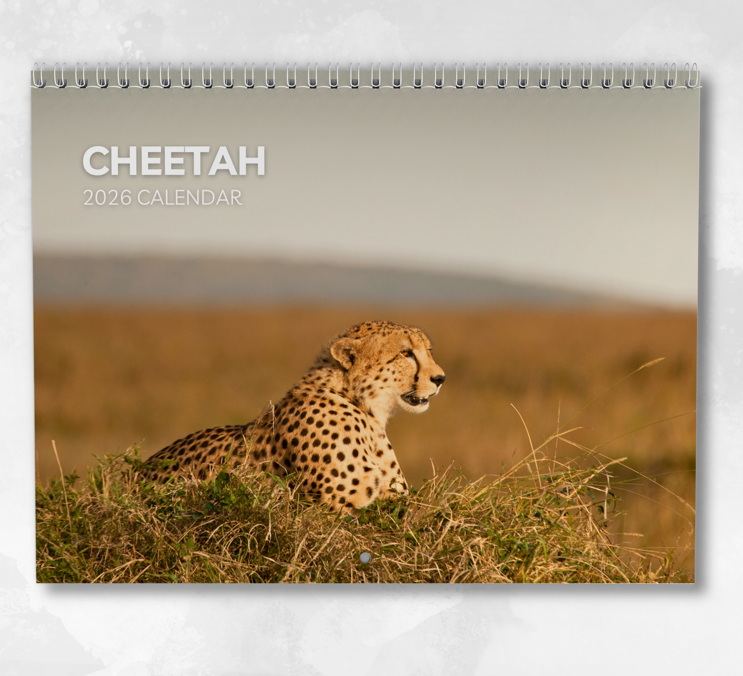 Cheetah Calendar 2026