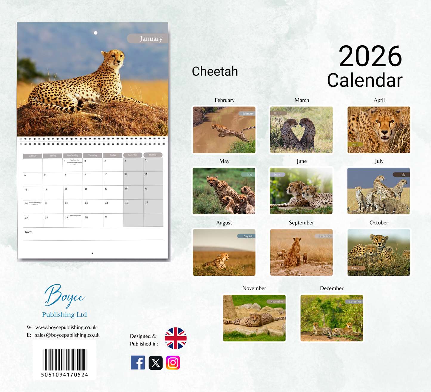 Cheetah Calendar 2026