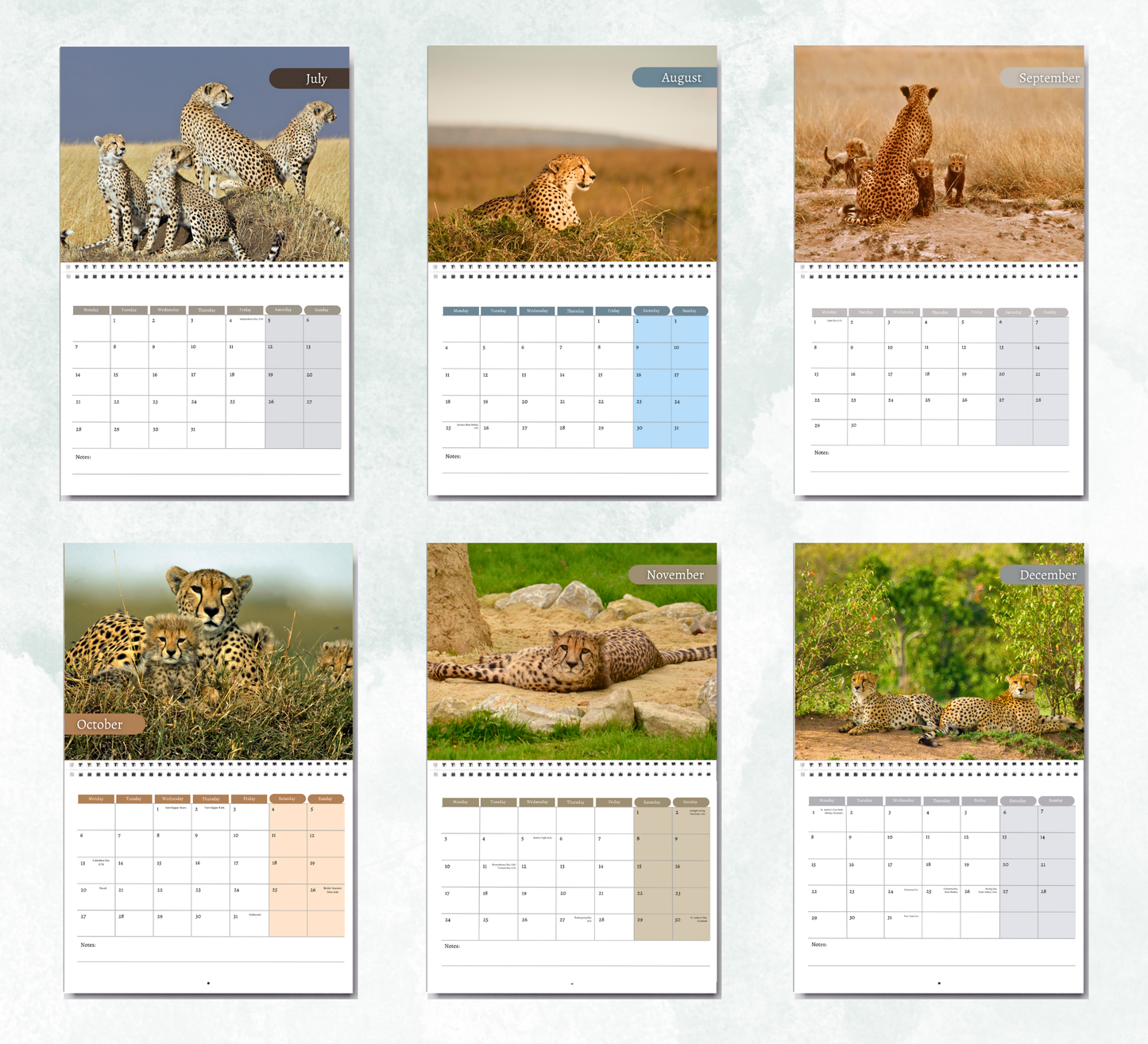 Cheetah Calendar 2026