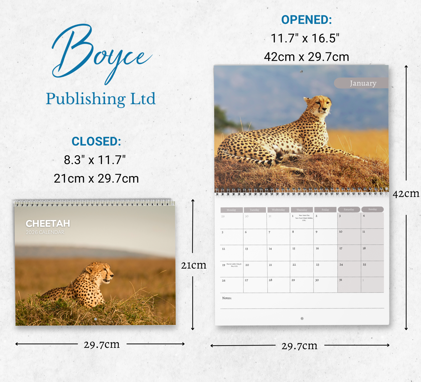 Cheetah Calendar 2026