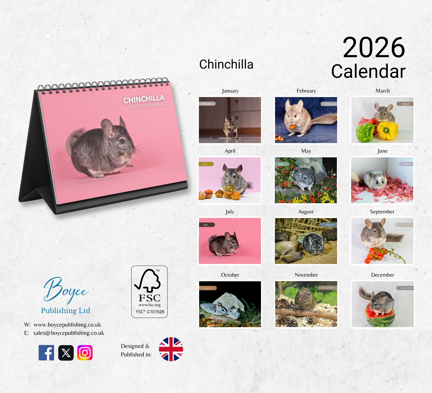 Chinchilla Desk Calendar 2026-2027