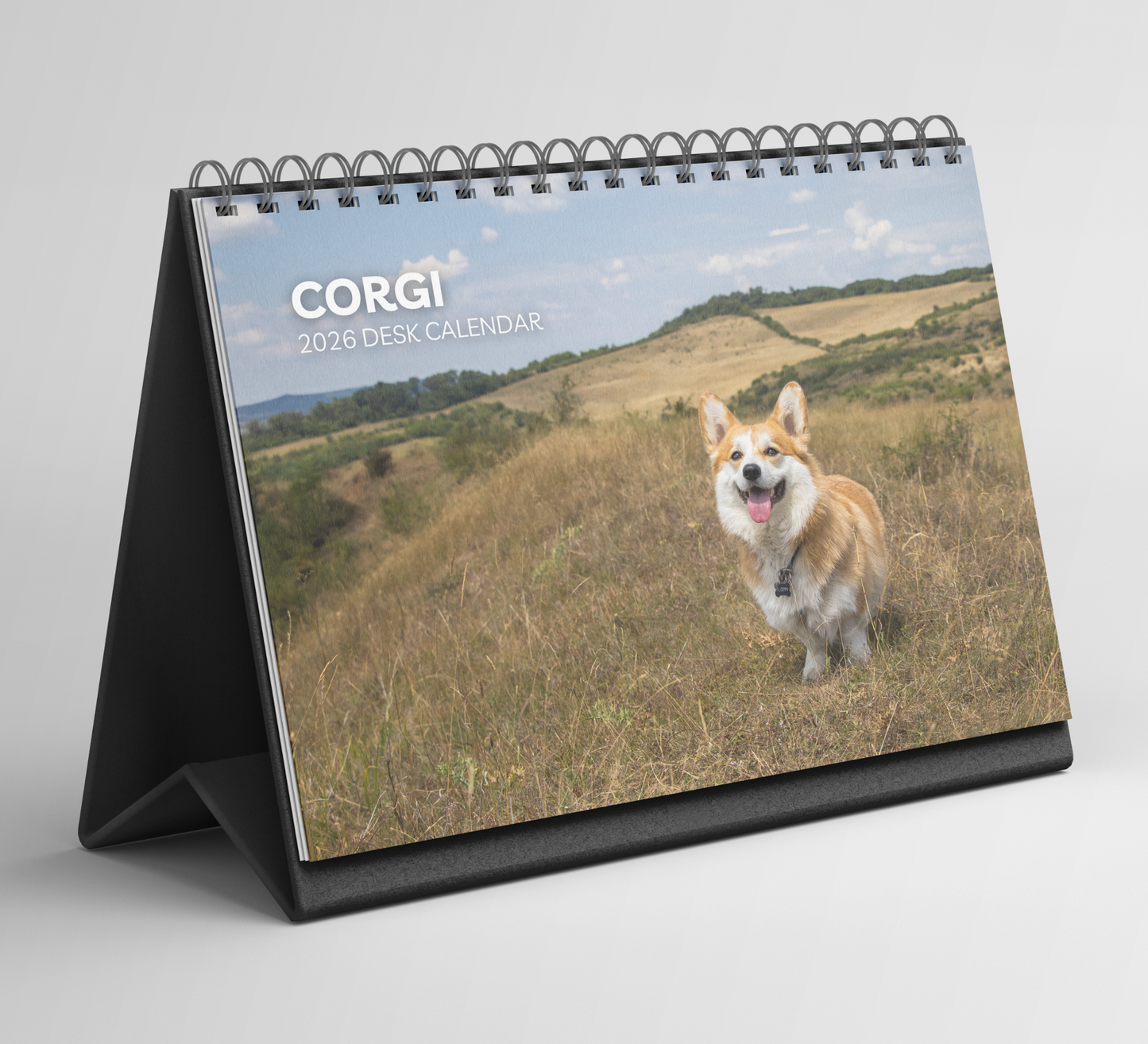 Corgi Desk Calendar 2026-2027