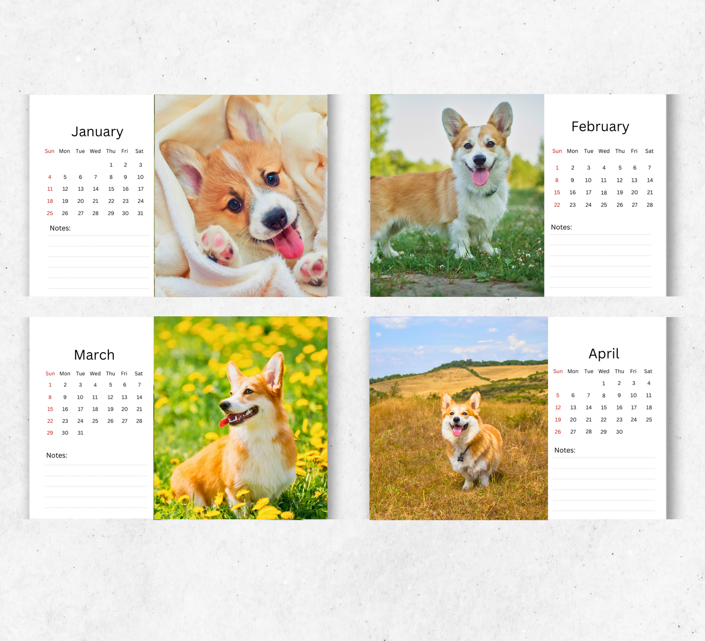 Corgi Desk Calendar 2026-2027