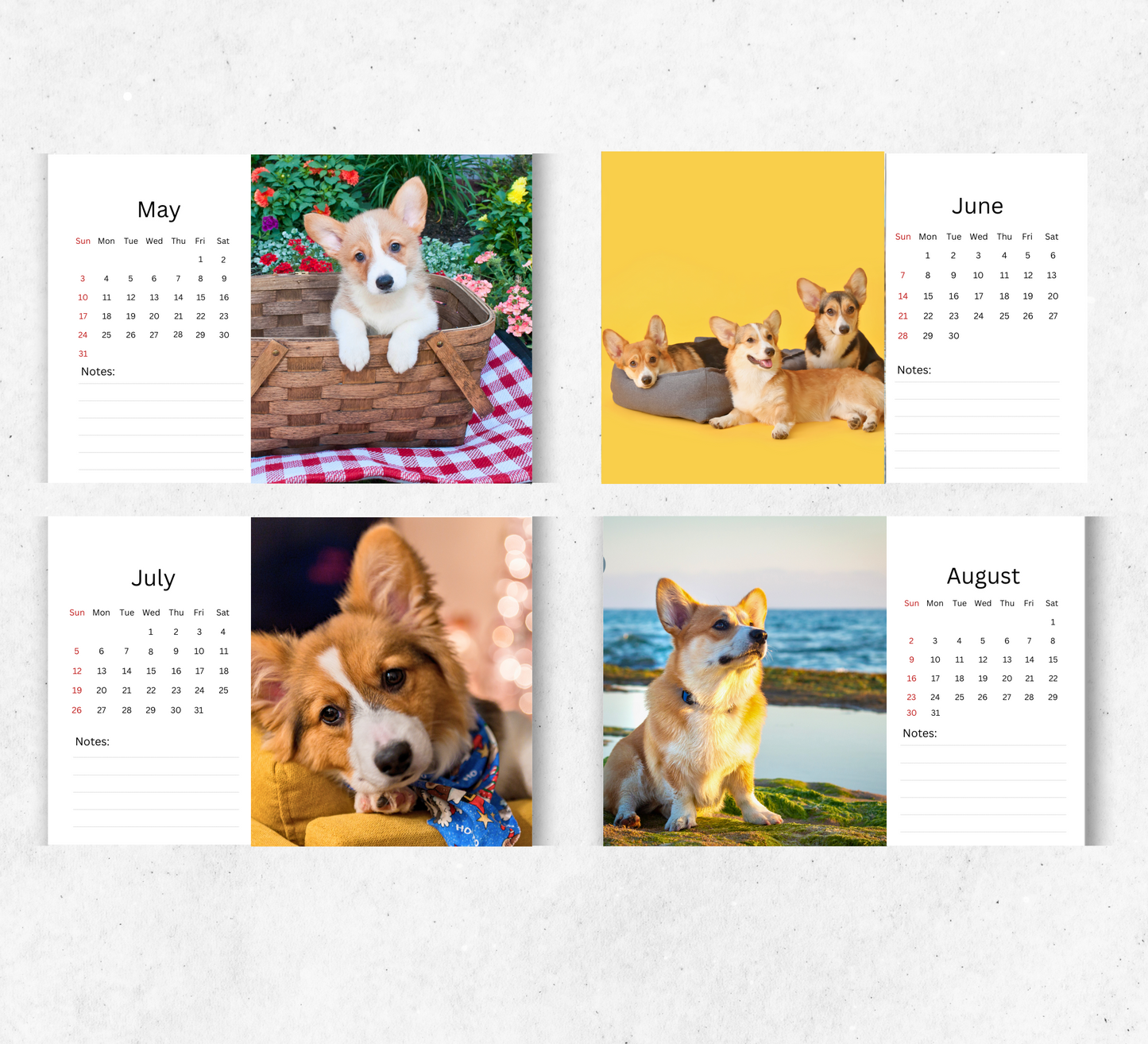 Corgi Desk Calendar 2026-2027