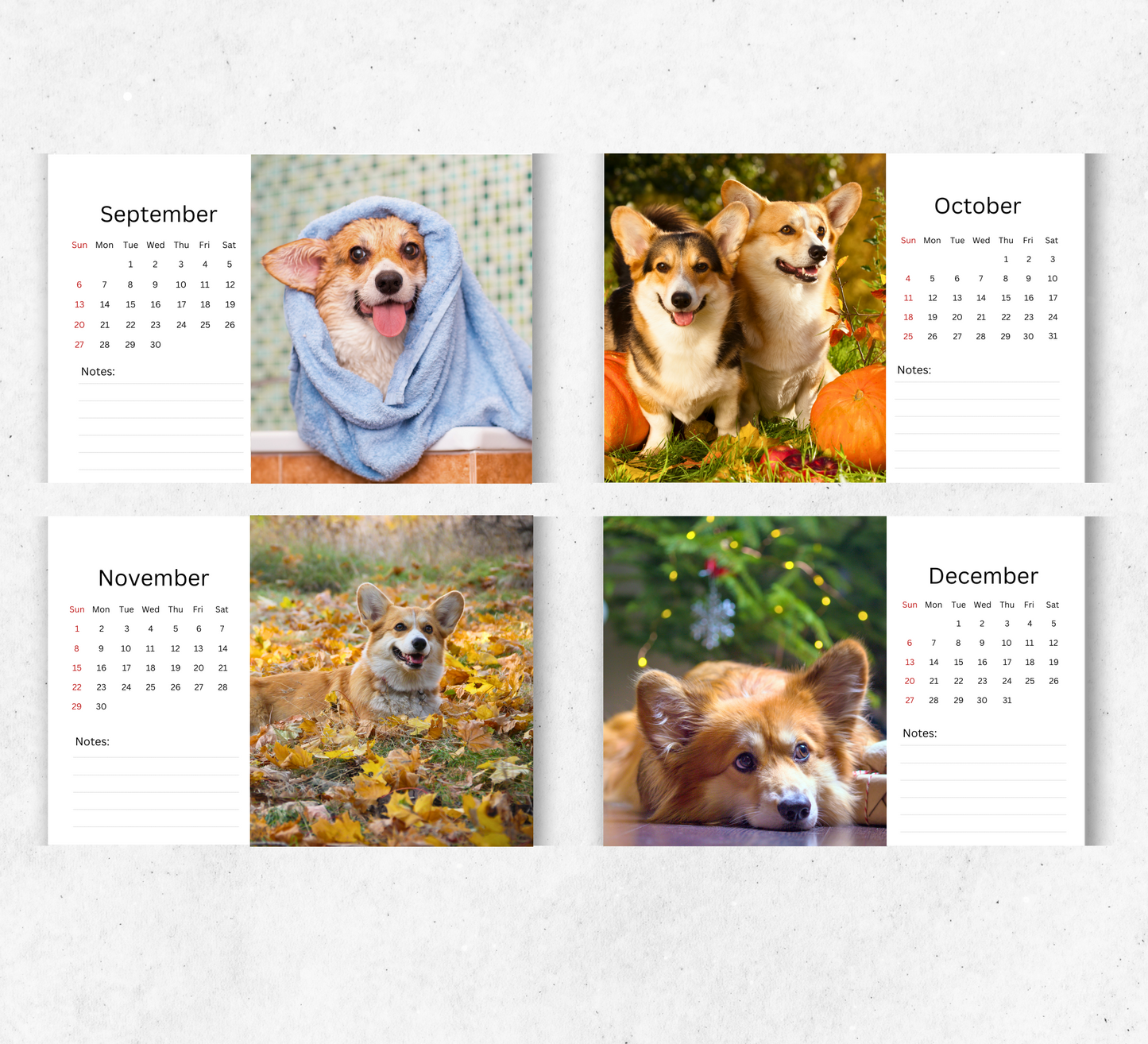 Corgi Desk Calendar 2026-2027