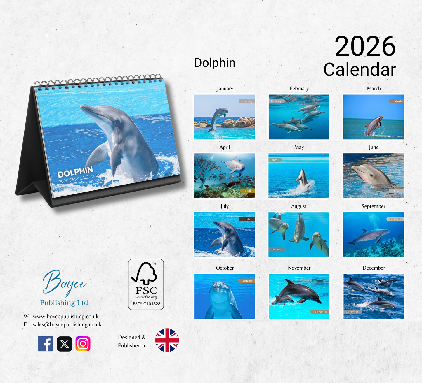Dolphin Desk Calendar 2026-2027