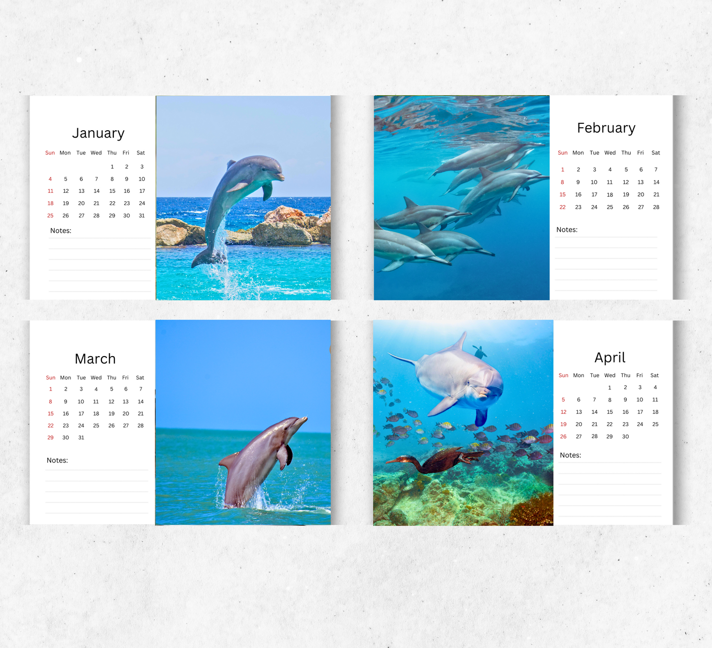 Dolphin Desk Calendar 2026-2027