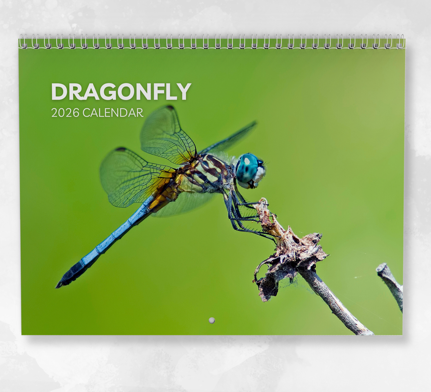 Dragonfly Calendar 2026
