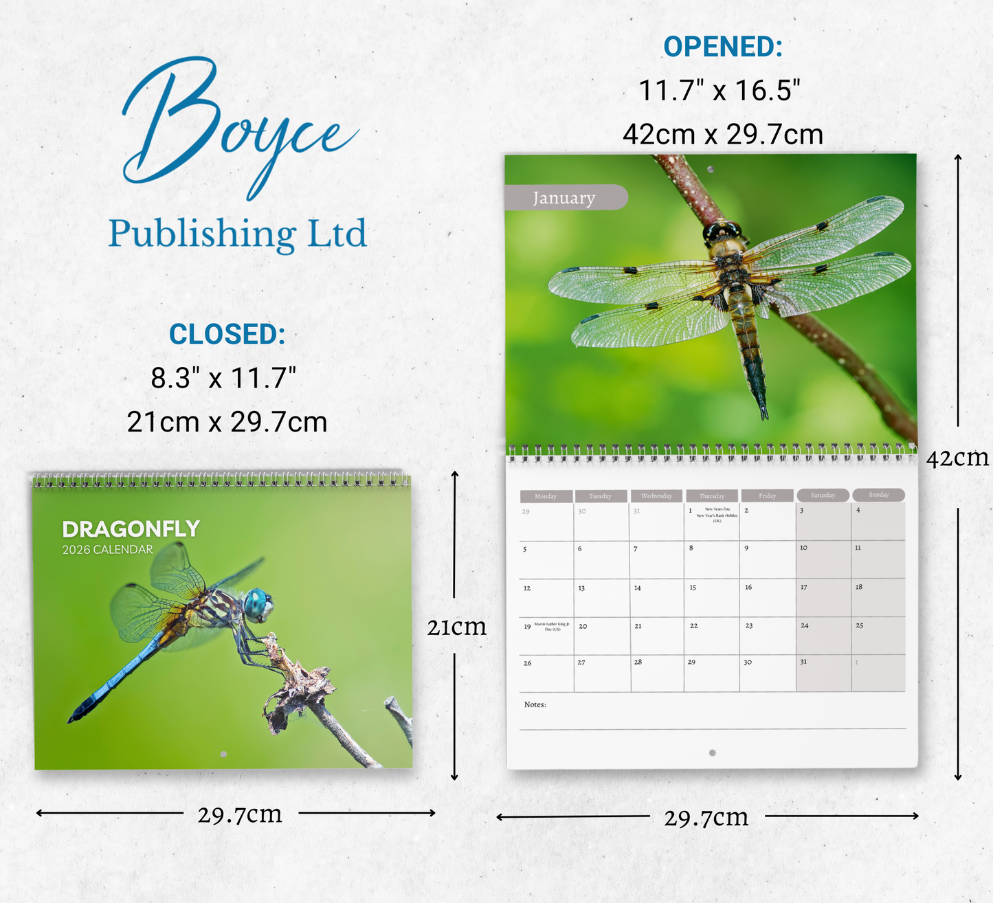Dragonfly Calendar 2026