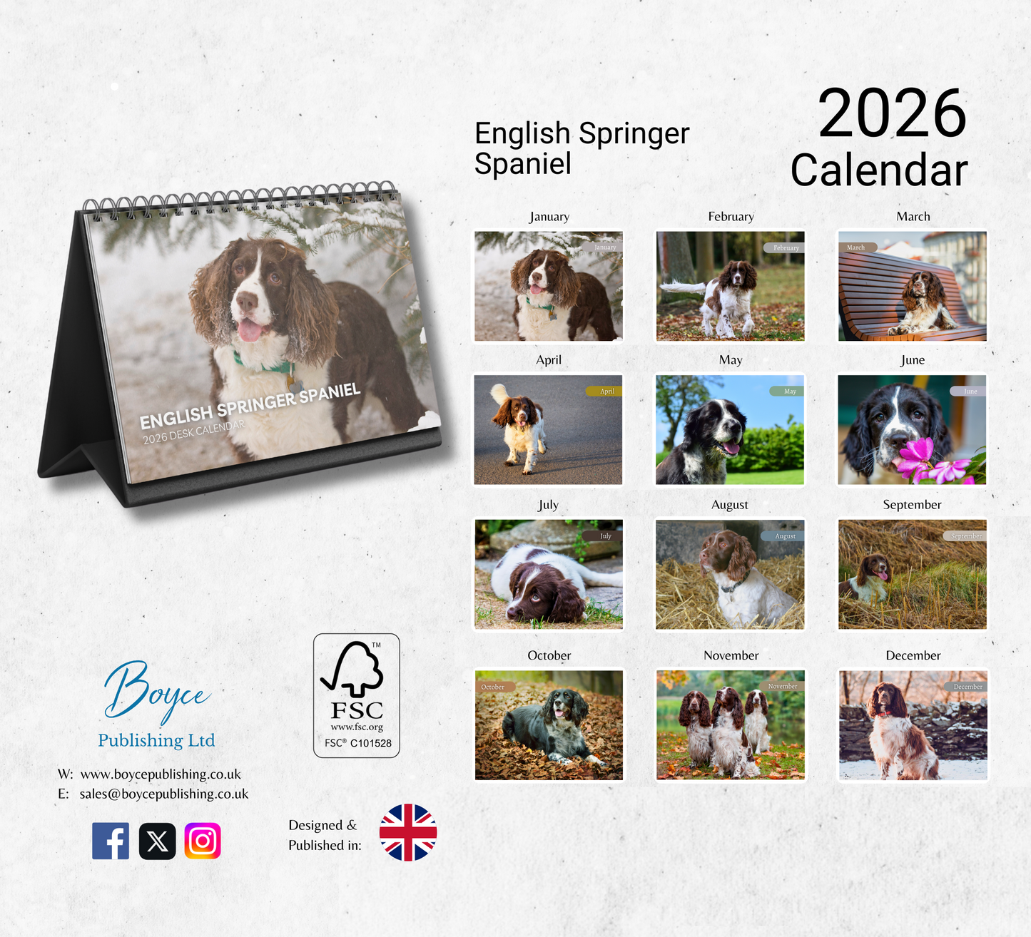 English Springer Spaniel Desk Calendar 2026-2027