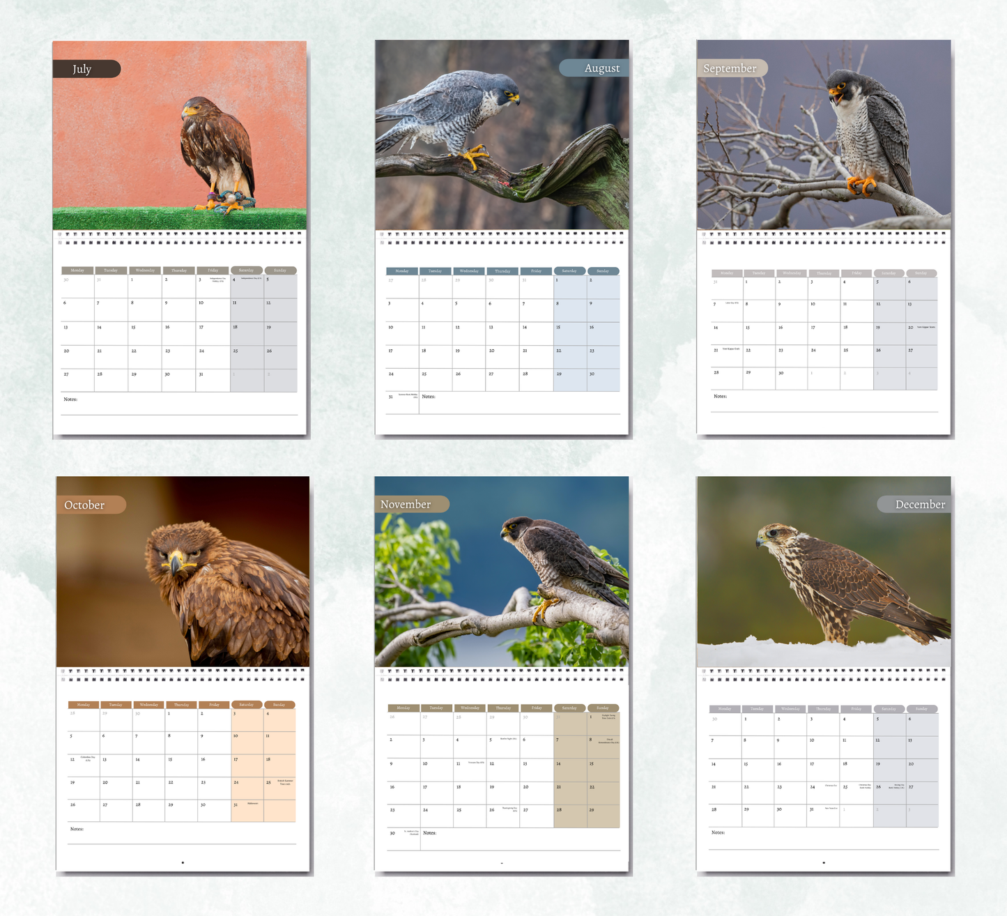 Falcon Calendar 2026