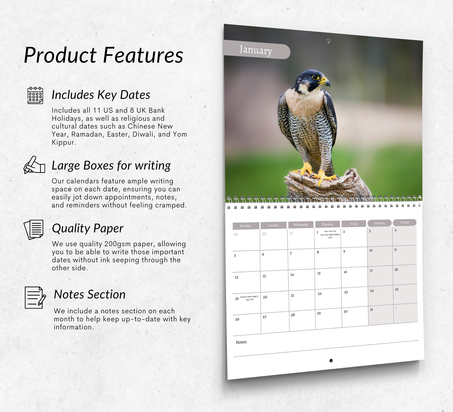 Falcon Calendar 2026