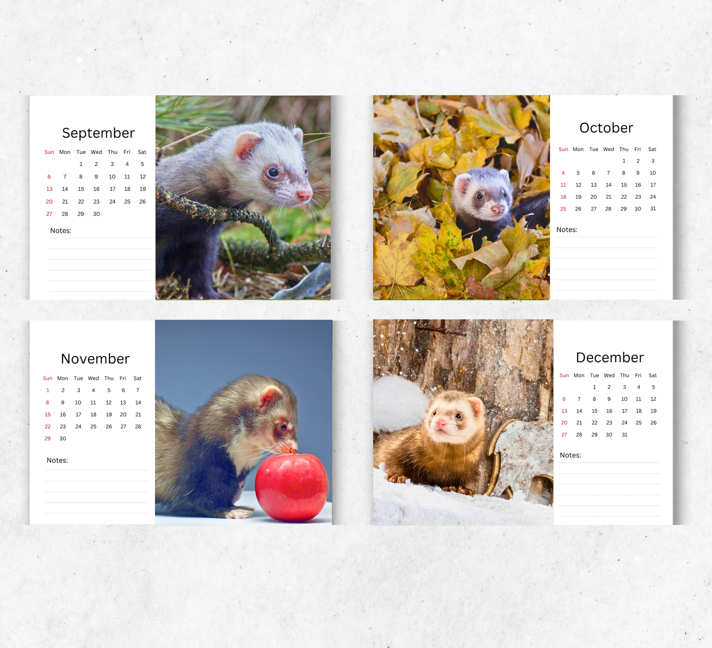 Ferret Desk Calendar 2026-2027