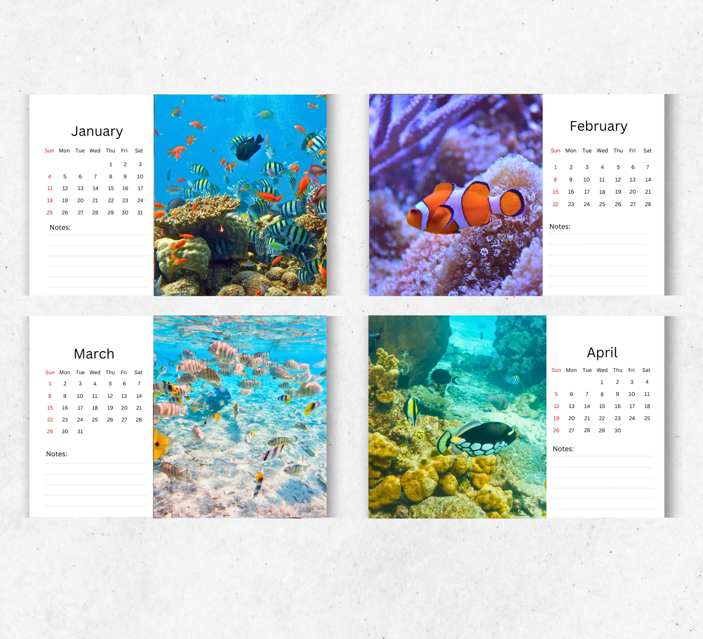 Fish Desk Calendar 2026-2027