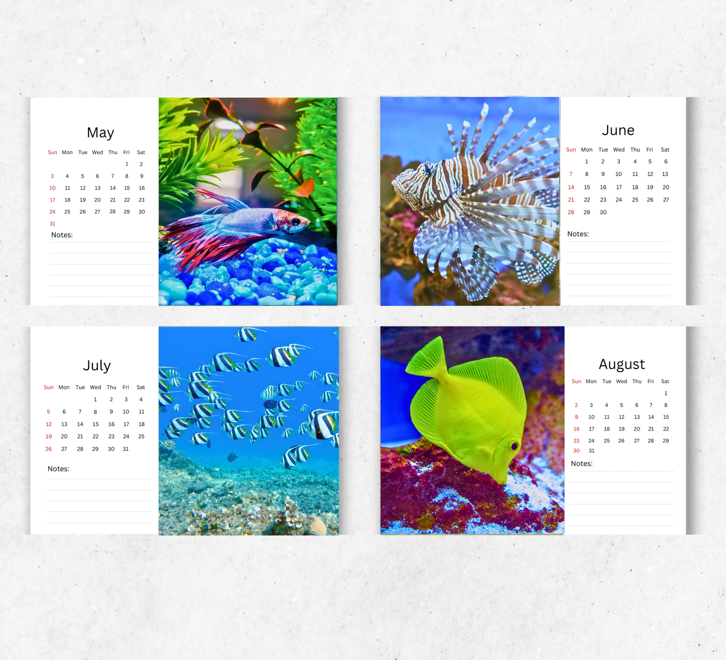 Fish Desk Calendar 2026-2027