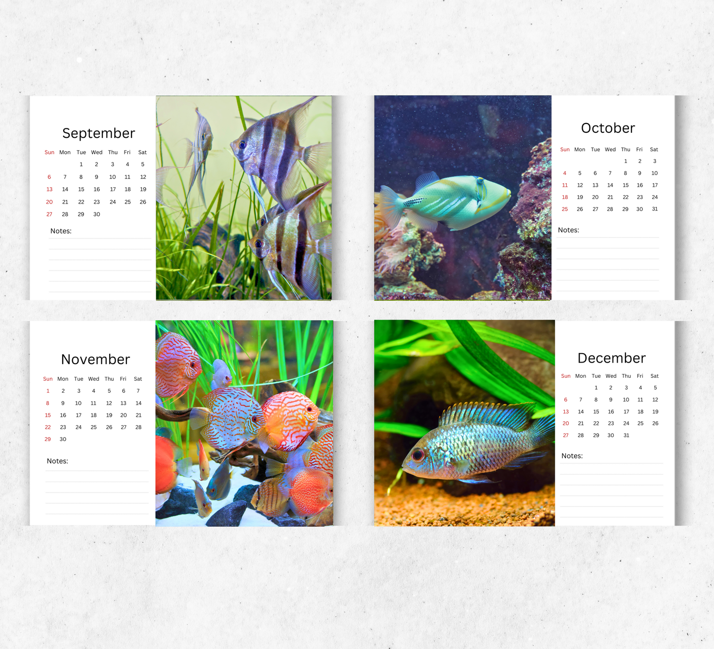 Fish Desk Calendar 2026-2027