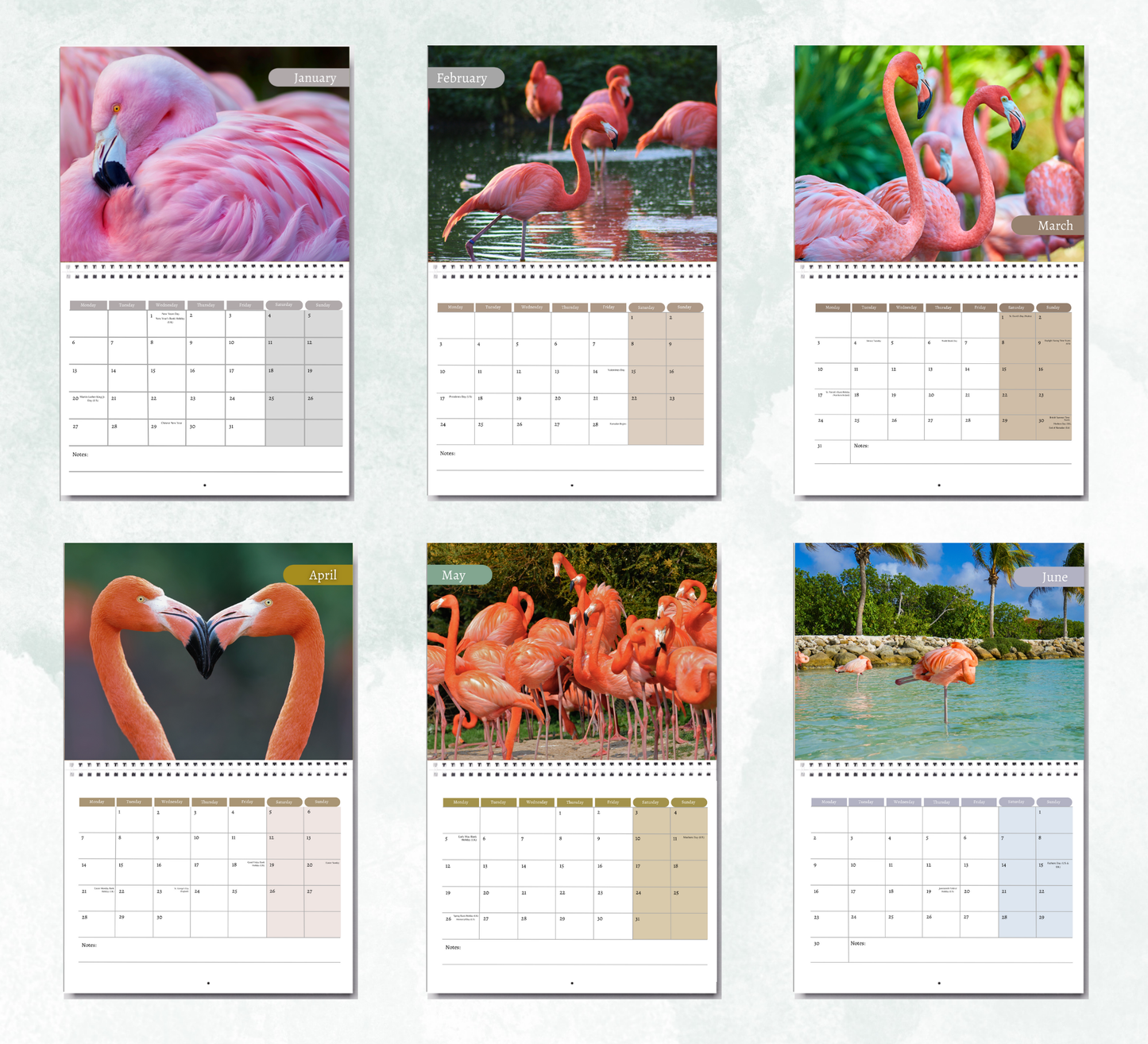Flamingo Calendar 2026